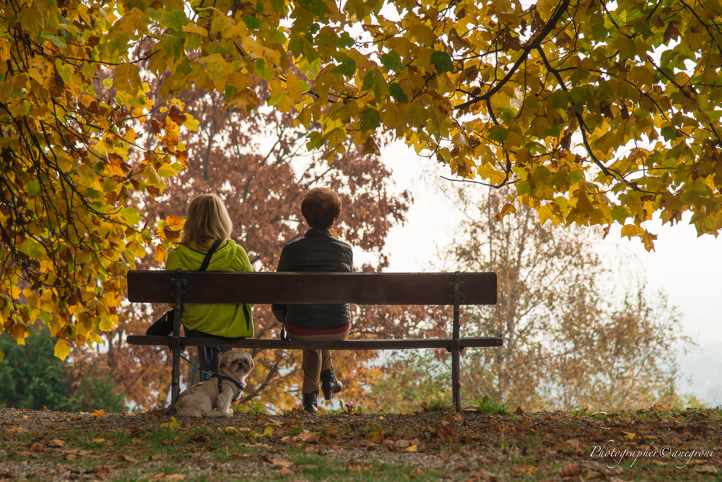 Autunno al Parco Burcina