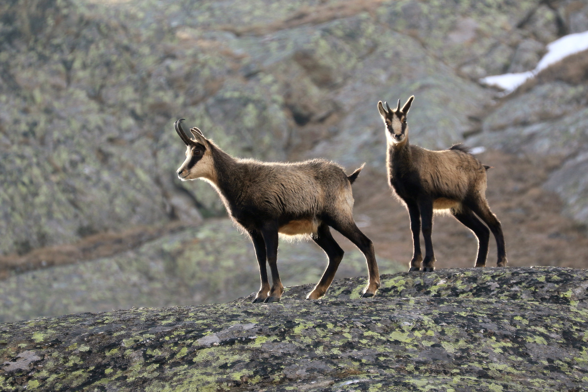 Come on ... autumn progresses!