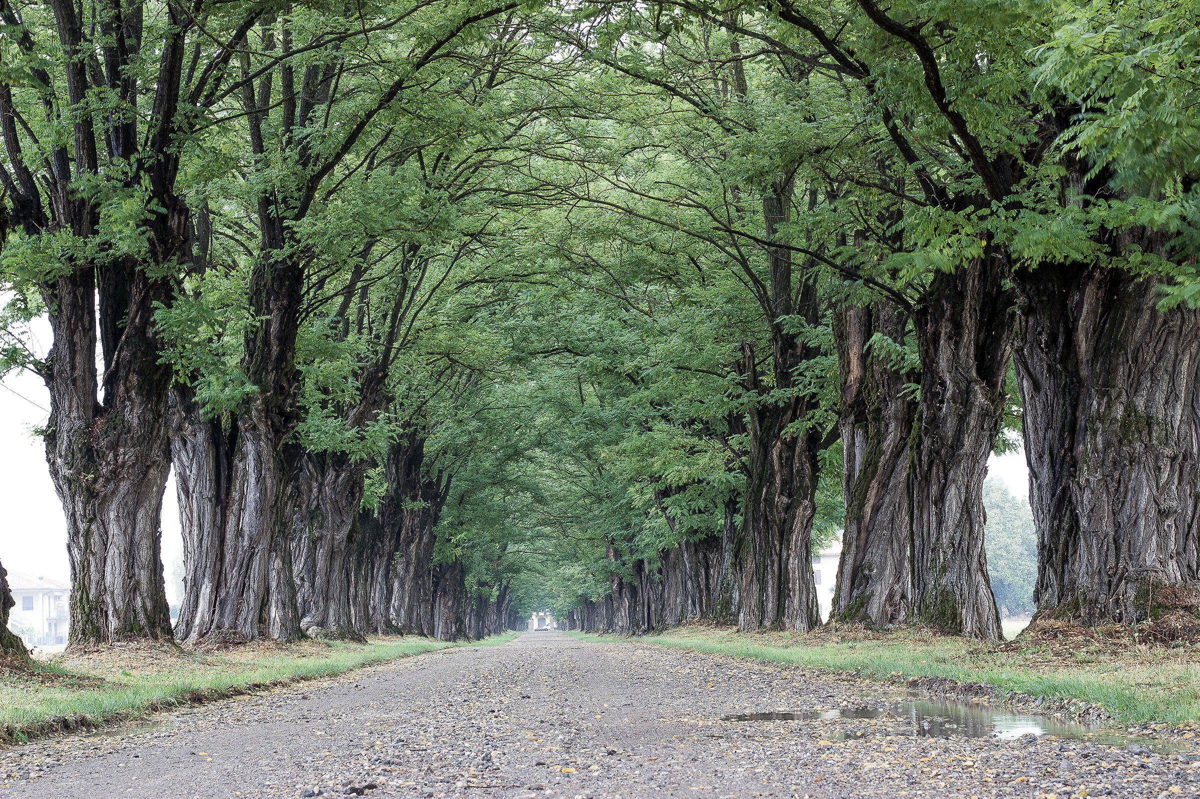 ultimi sprazzi di verde