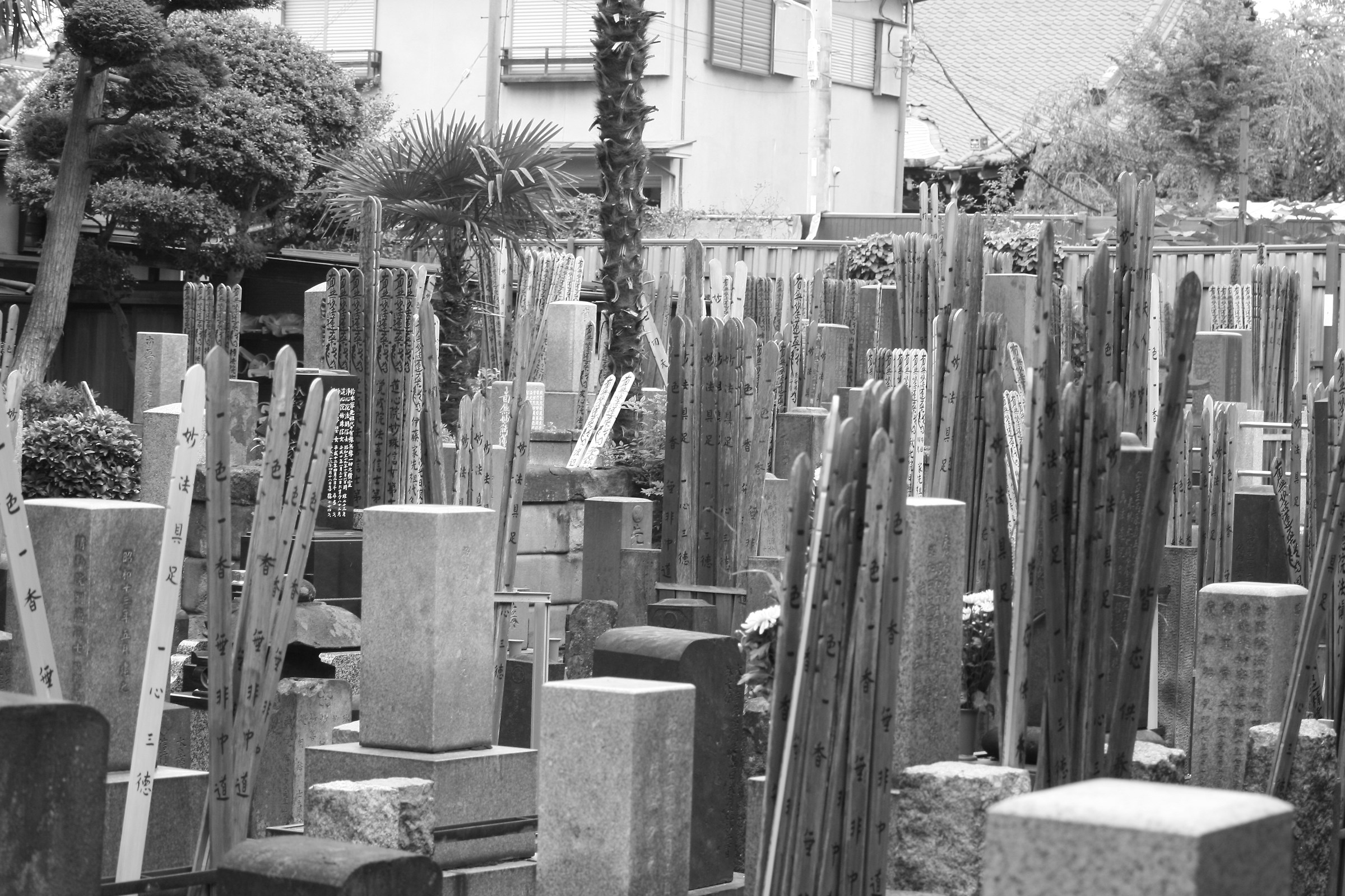 Small cemetery in the suburb of Tokyo