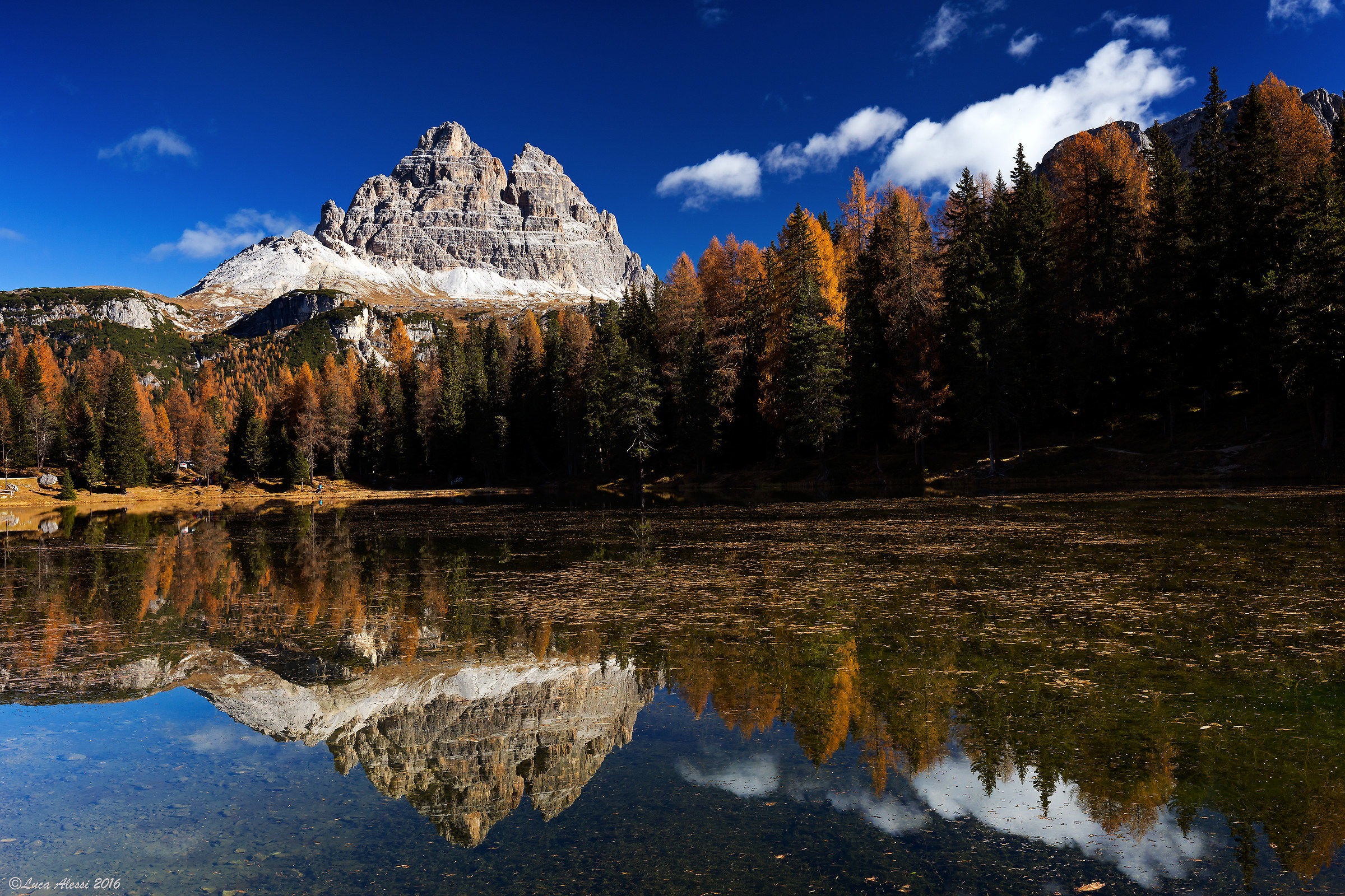 Superba bellezza si specchia