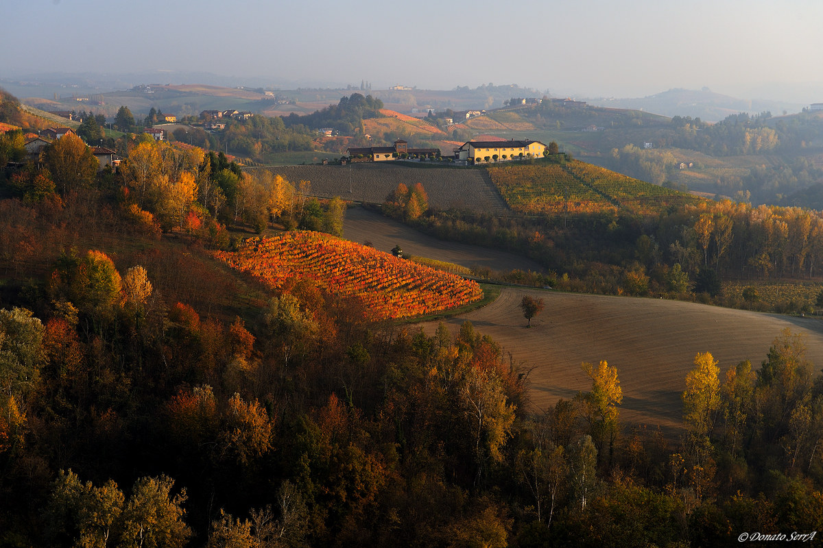 Paesaggio delle Langhe in una calda sera D'autunno