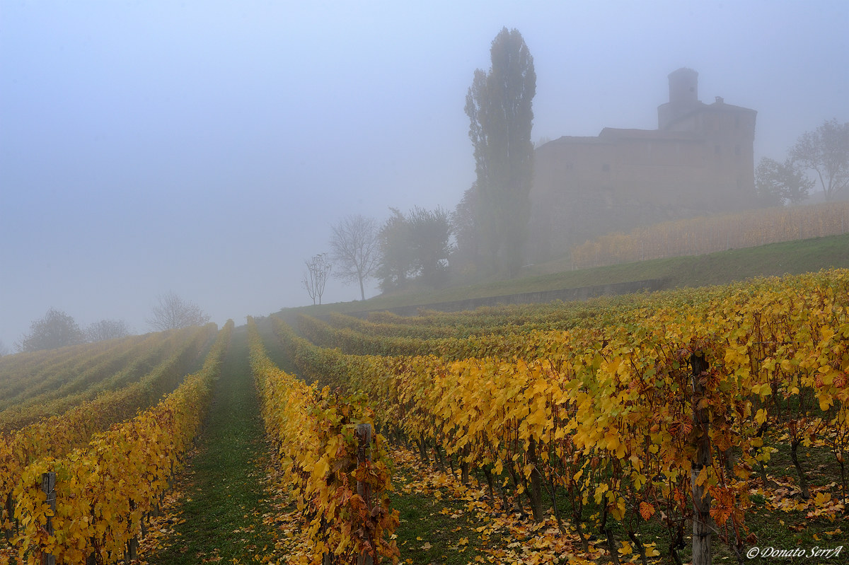 Castello Della Volta nella nebbia