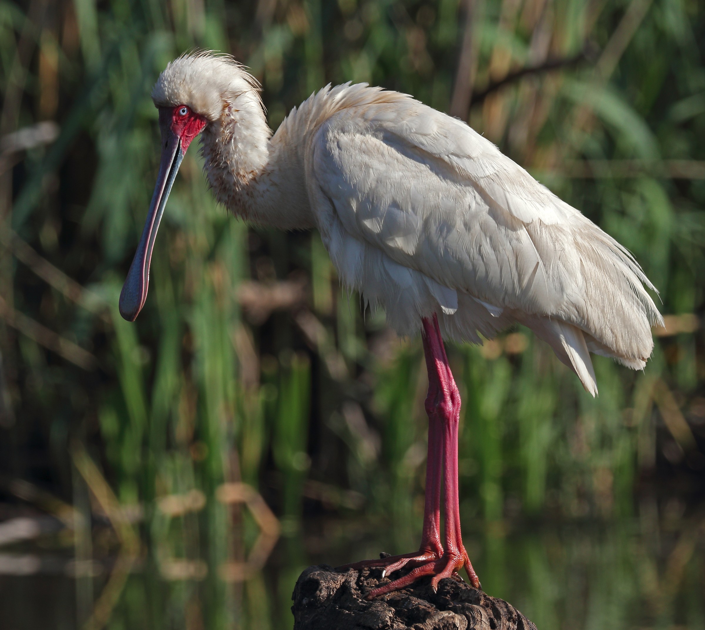 luce sbagliata, posa sbagliato