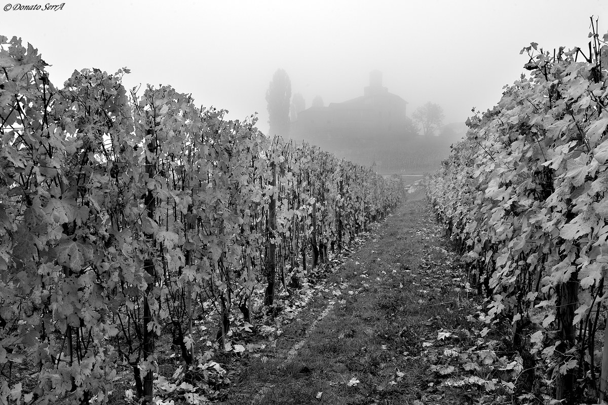 Castello Della Volta