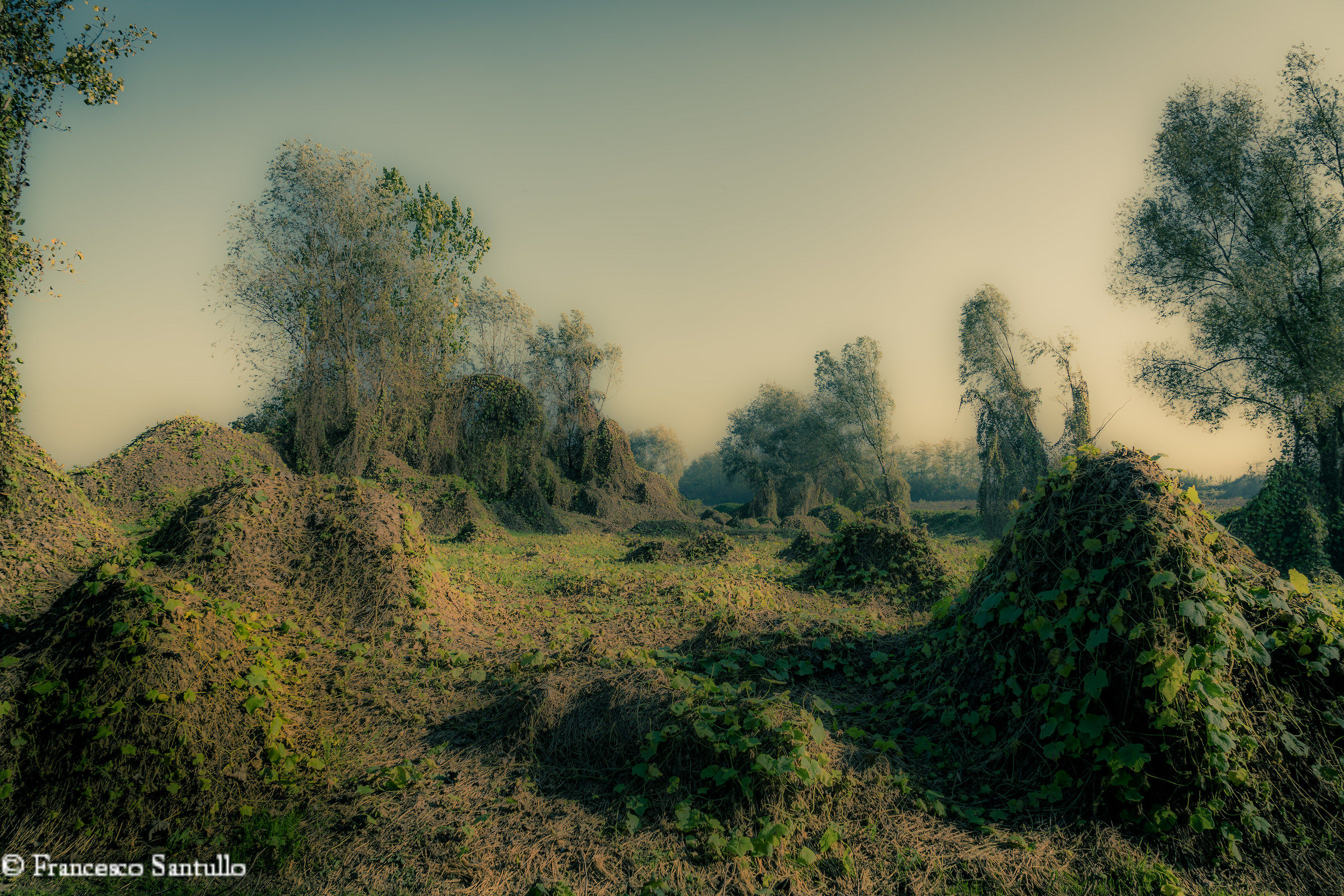 yet natural sculptures