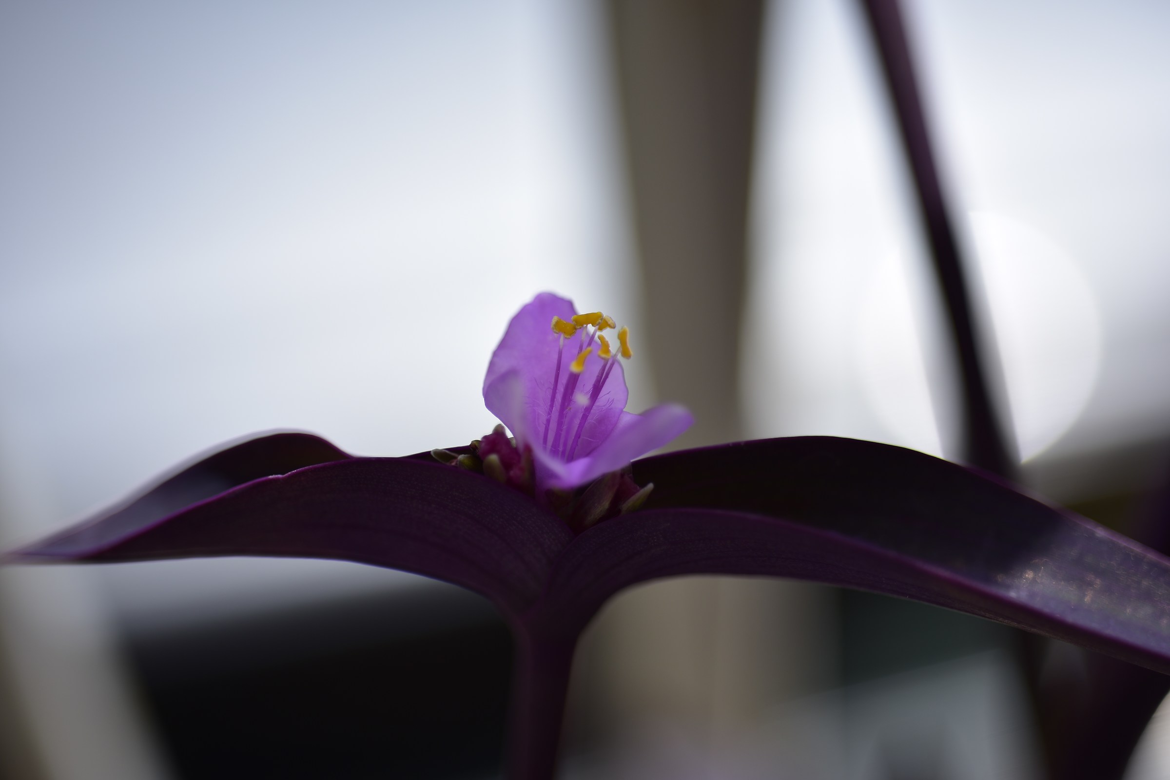 Untitled Photo
