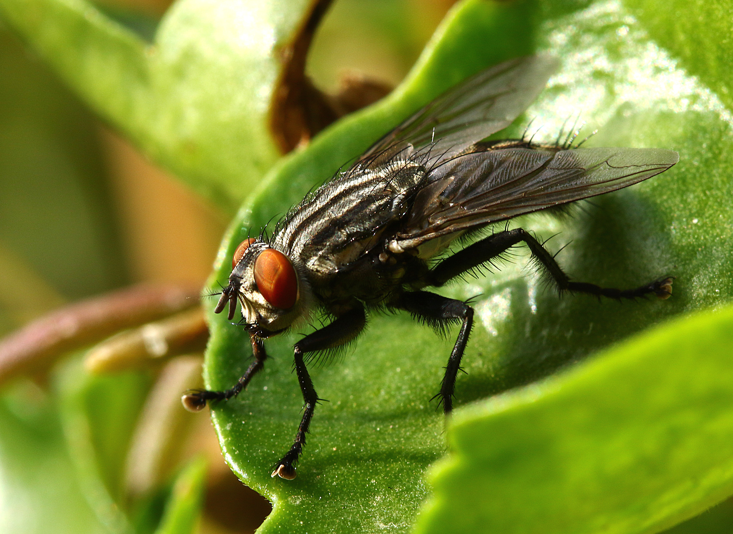 The elegance of Moscow.