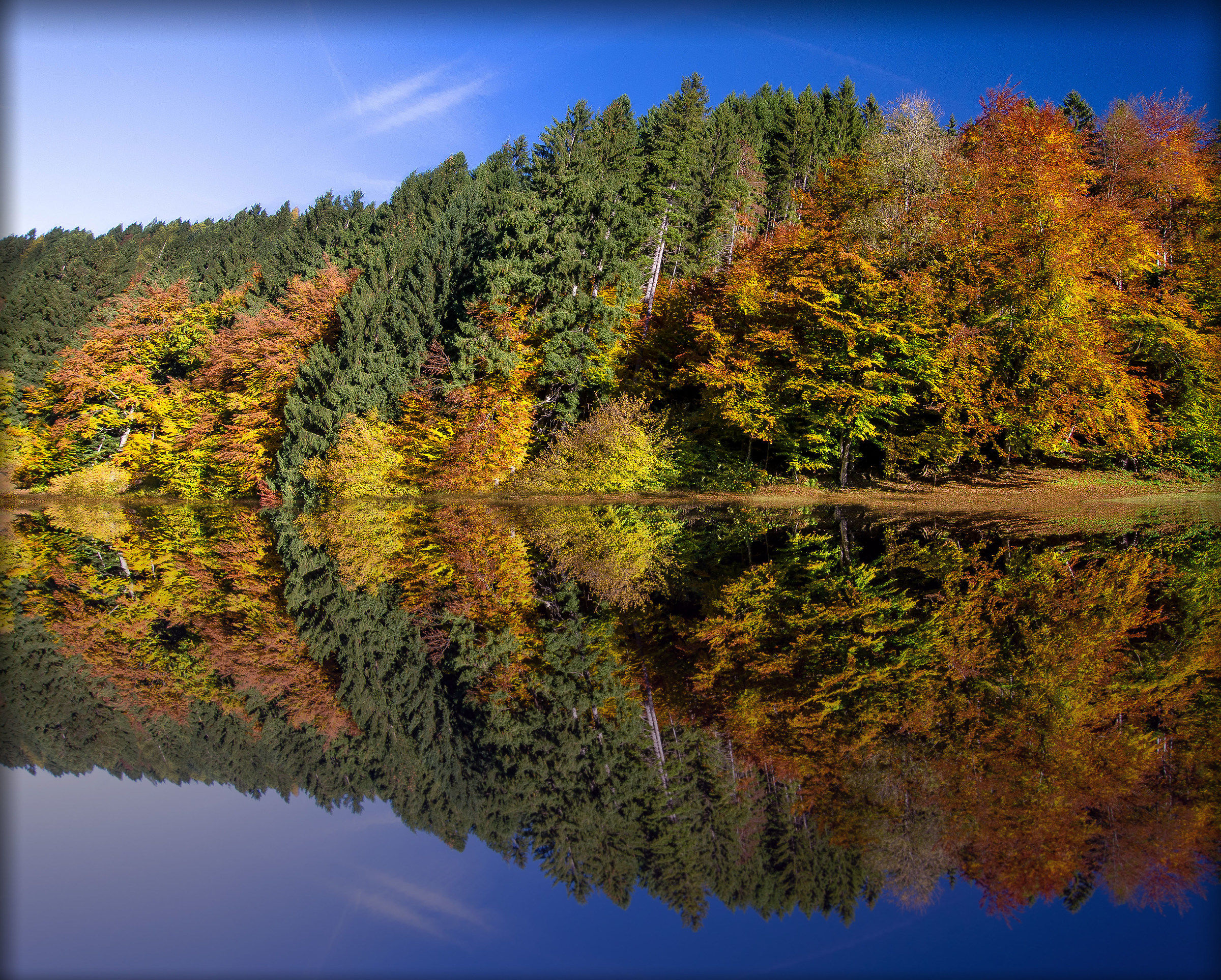 Afternoon reflections