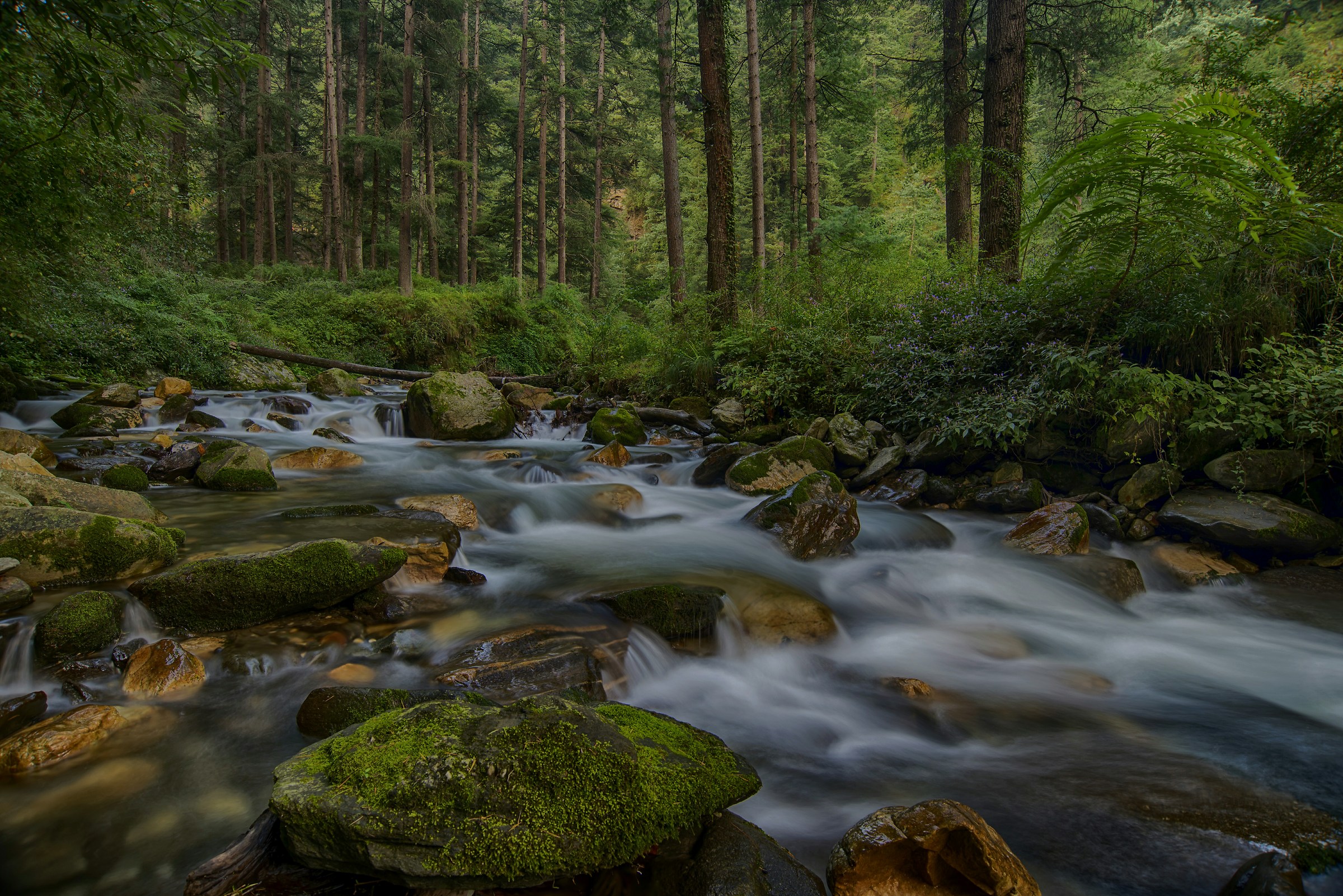 Nothing Stays Nothing stops neither happiness or sorrow