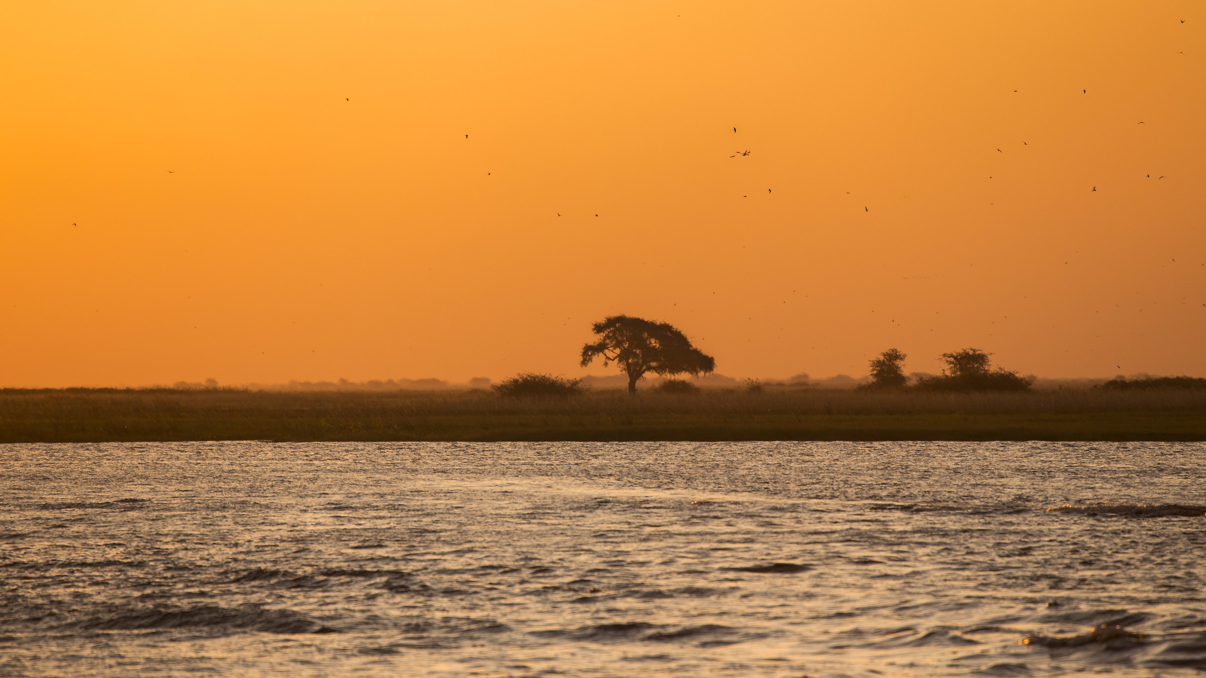 Sunset on the Zambezi