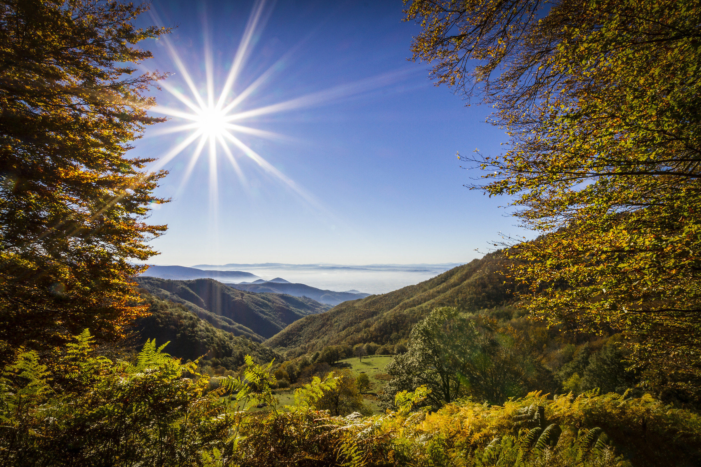 Acquerino - Cascina di Spedaletto