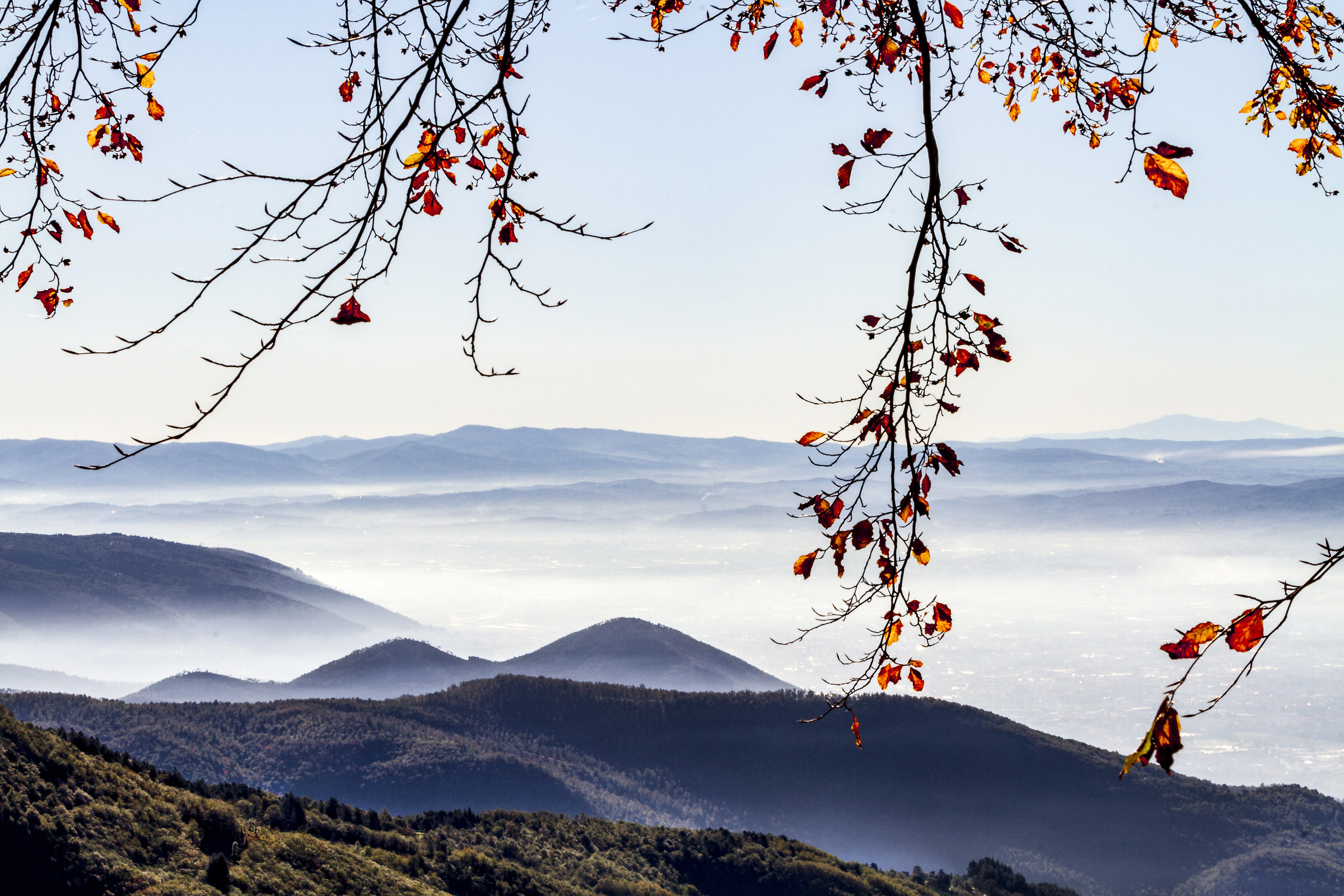Cascina di Spedaletto Acquerino