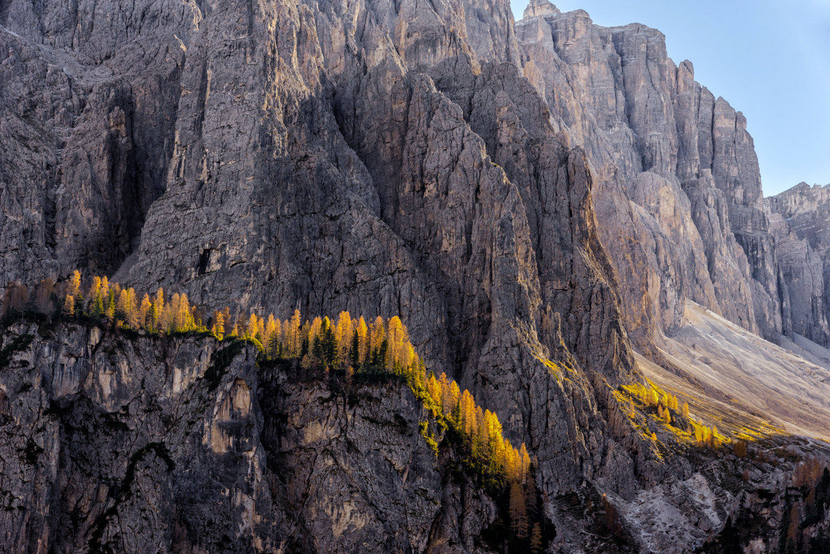 When the yellow shines