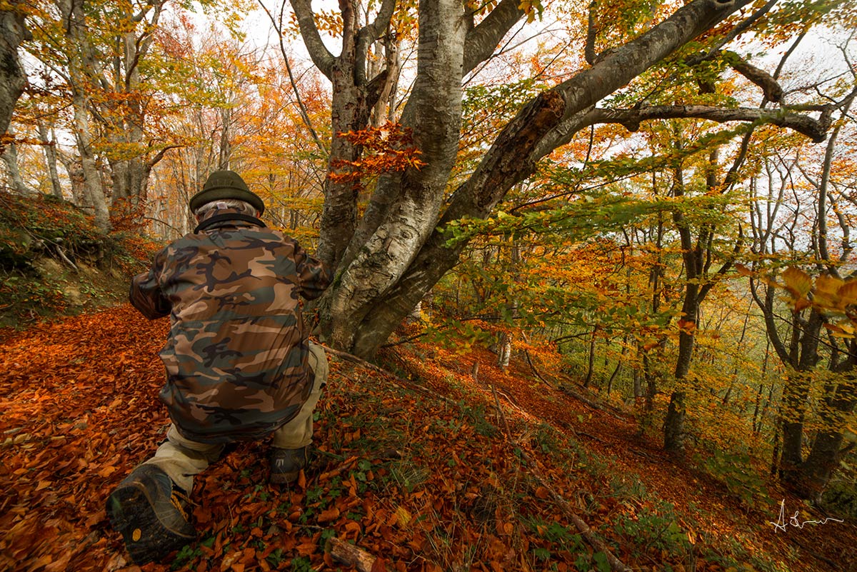 Ciak ..... shooting.