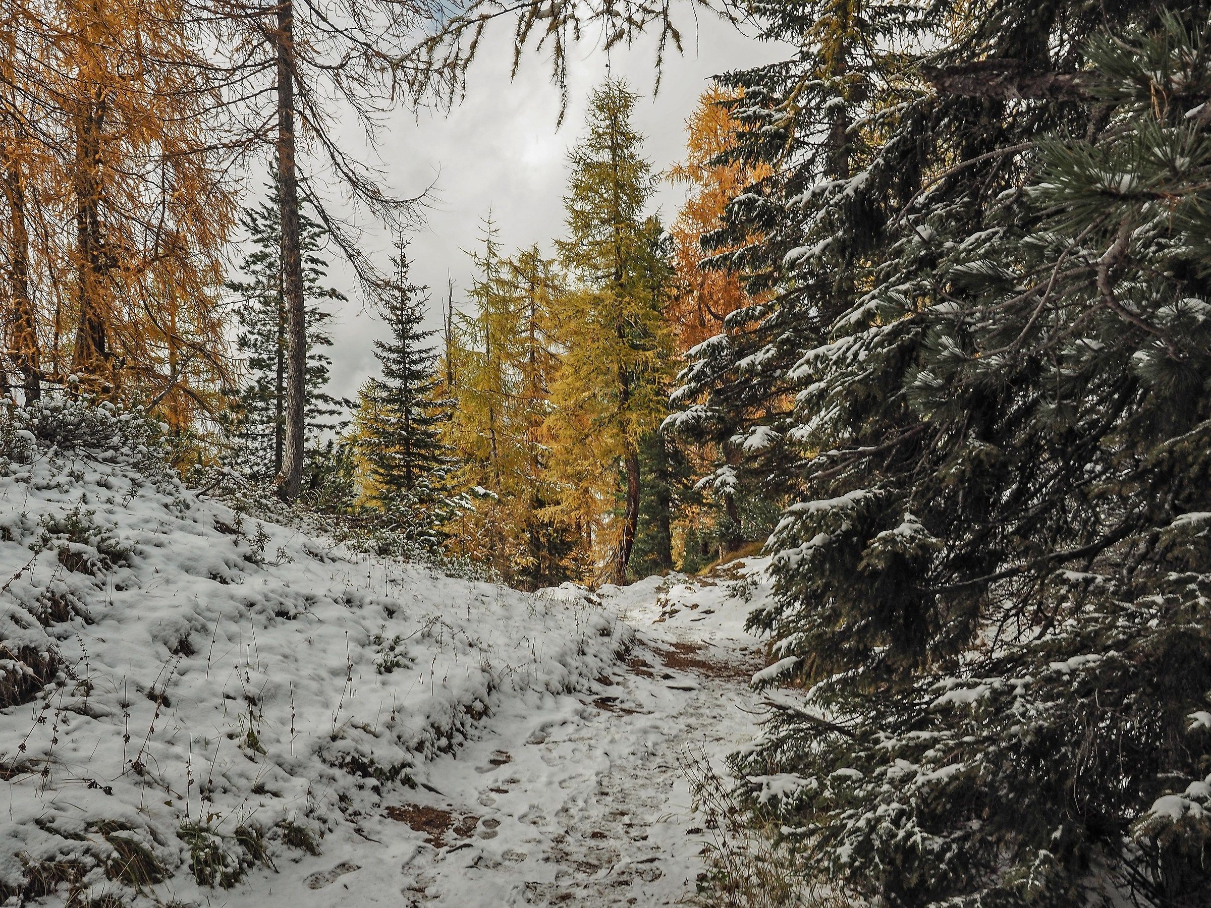 an autumn day to Lake Federa 9
