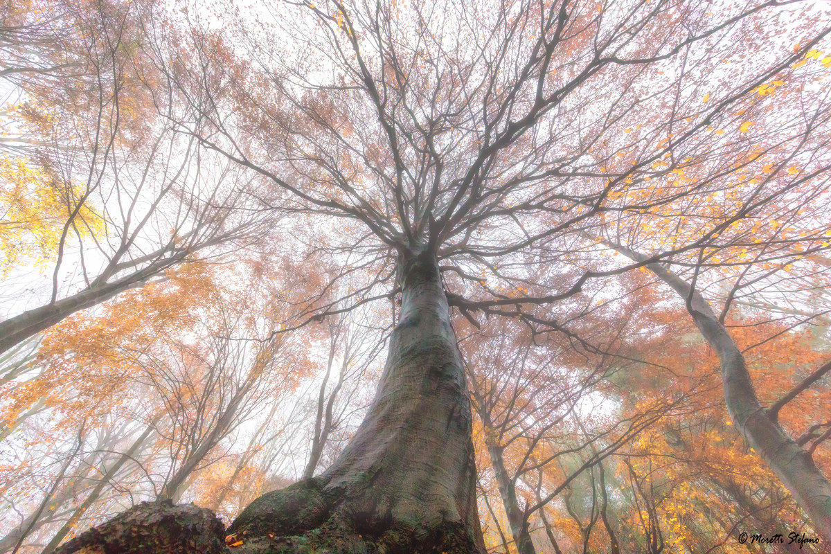 ai piedi dell'autunno