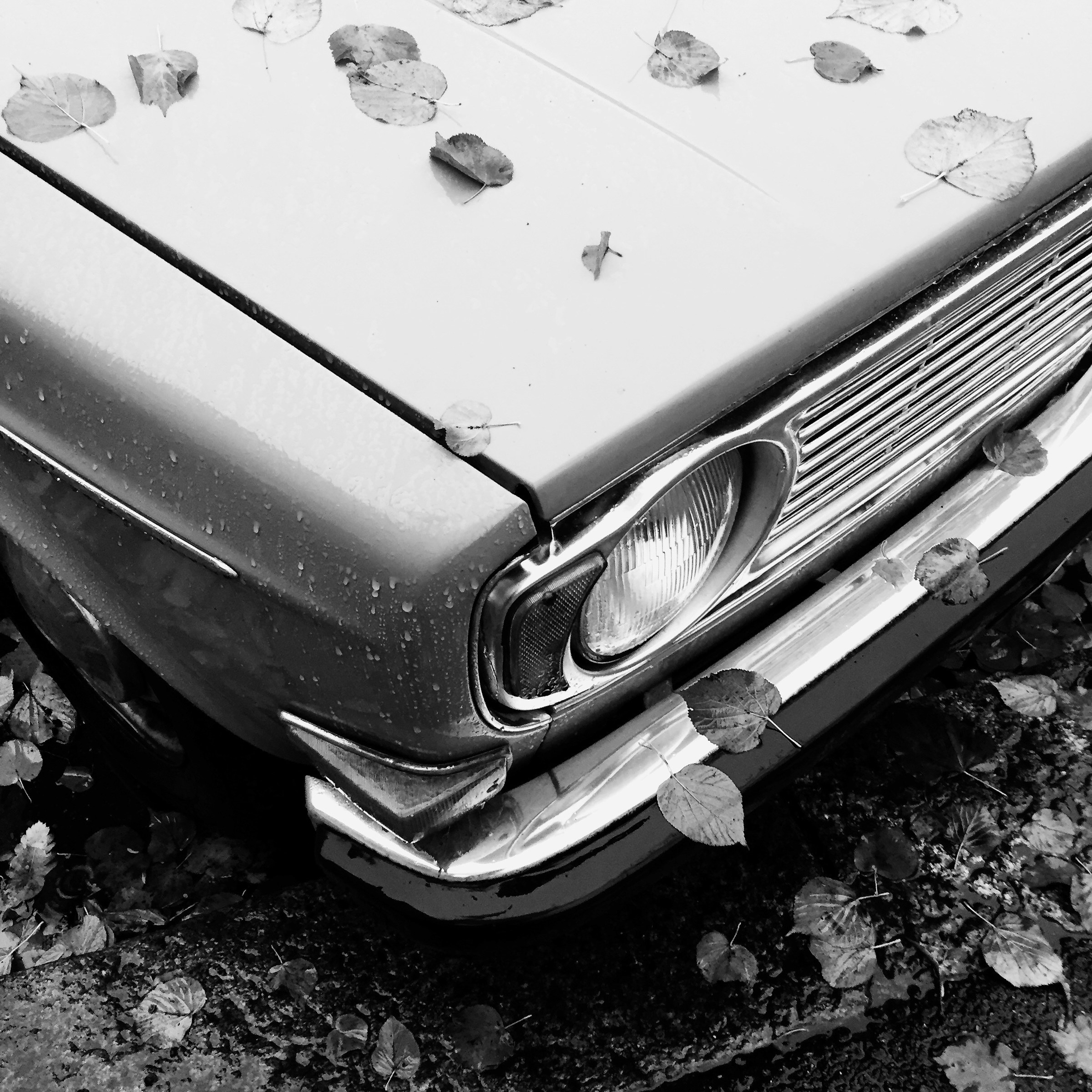 Quattro ruote in autunno