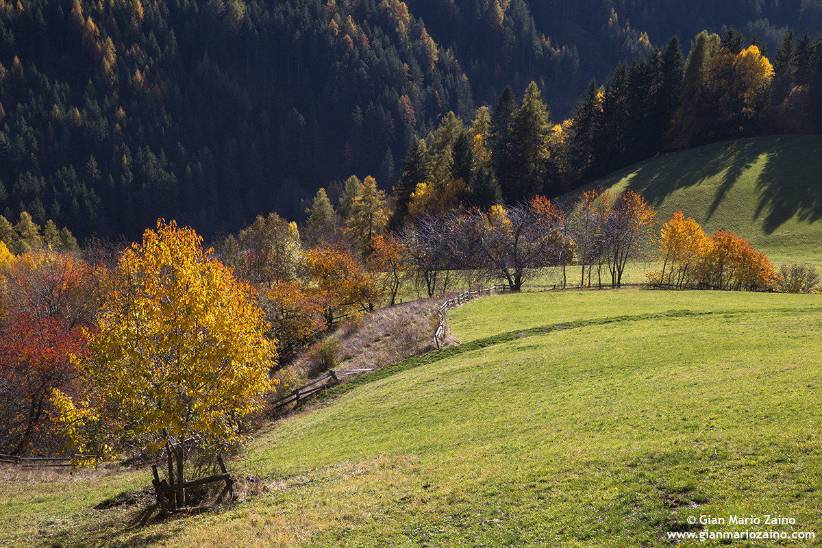 Italy - Val di Funes (11/01/16)