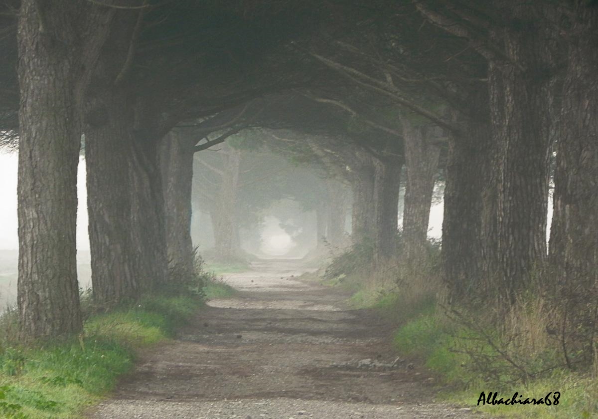 Autunno quasi in bianco e nero