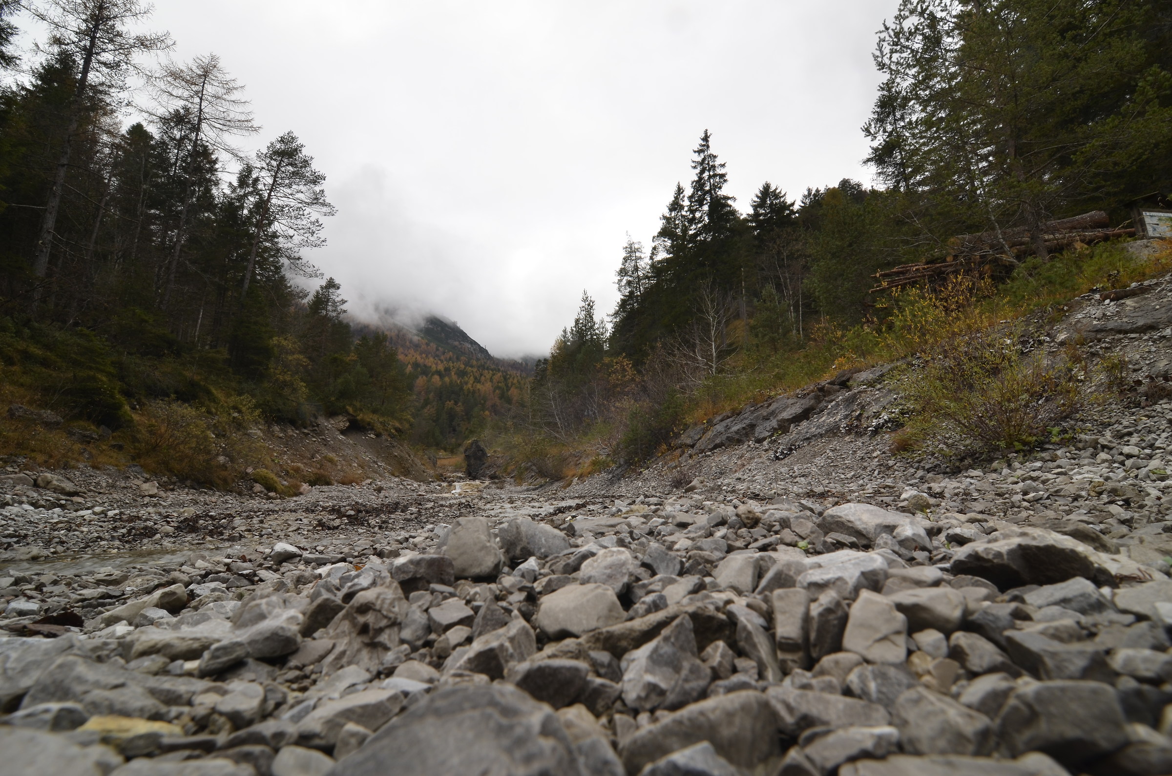 Tributary of tagliamento