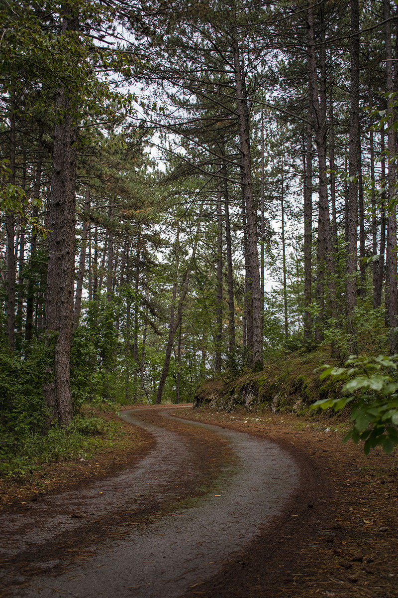 Strada sdrucciolevole
