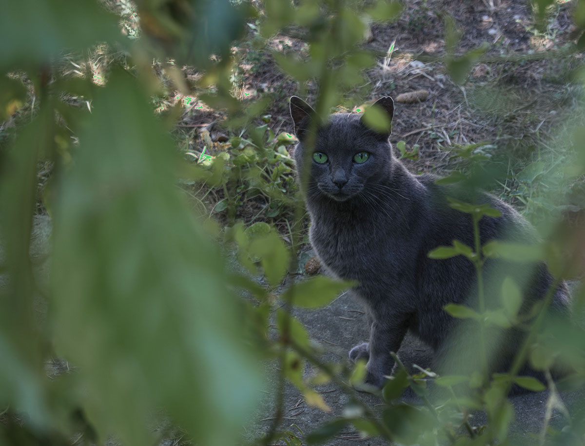 Fidarsi è bene.......