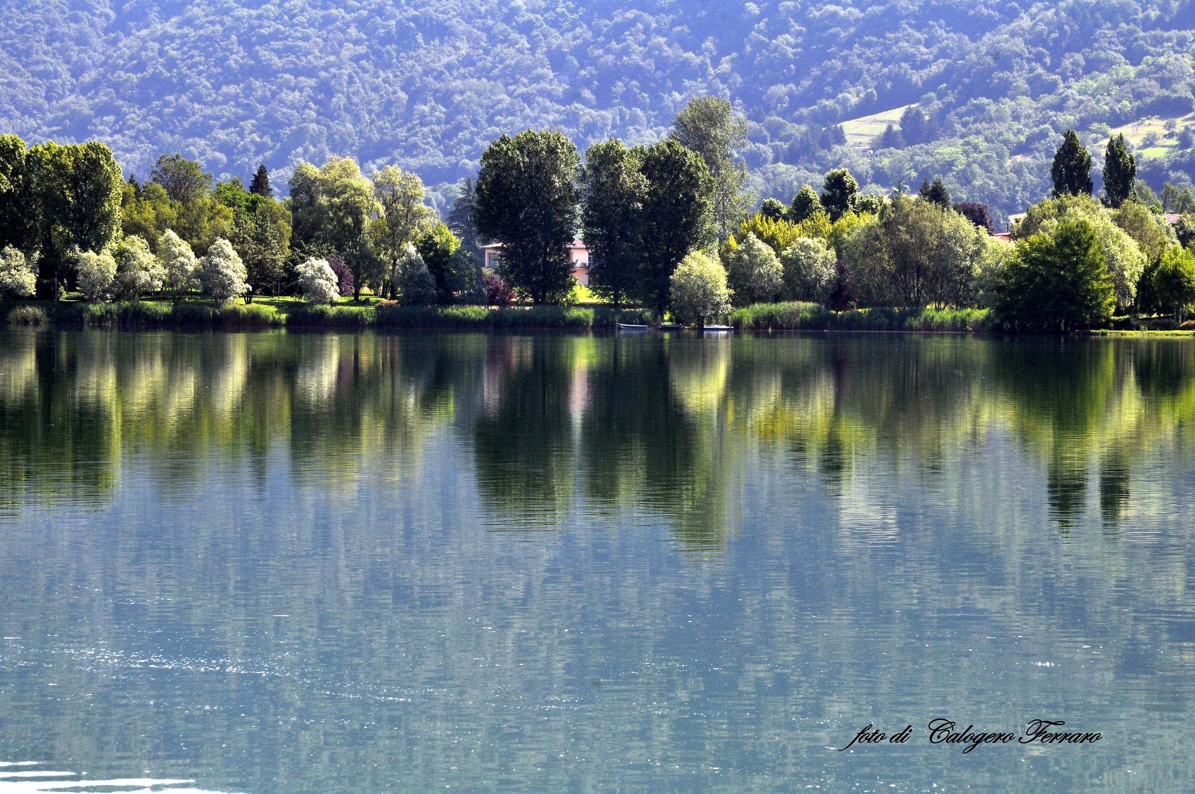 Reflections on Lake Spinone
