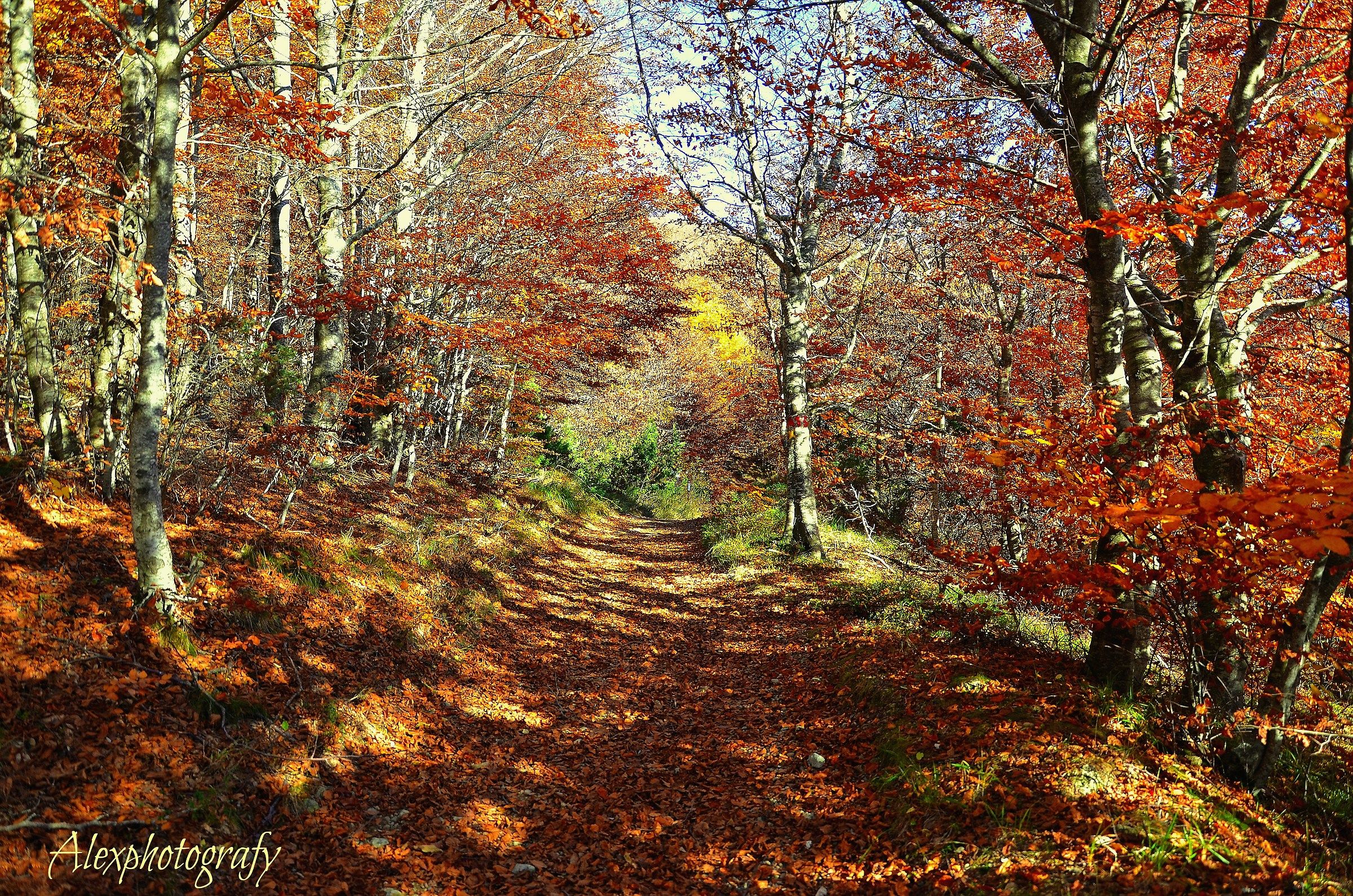 autumn in Val d'Aveto