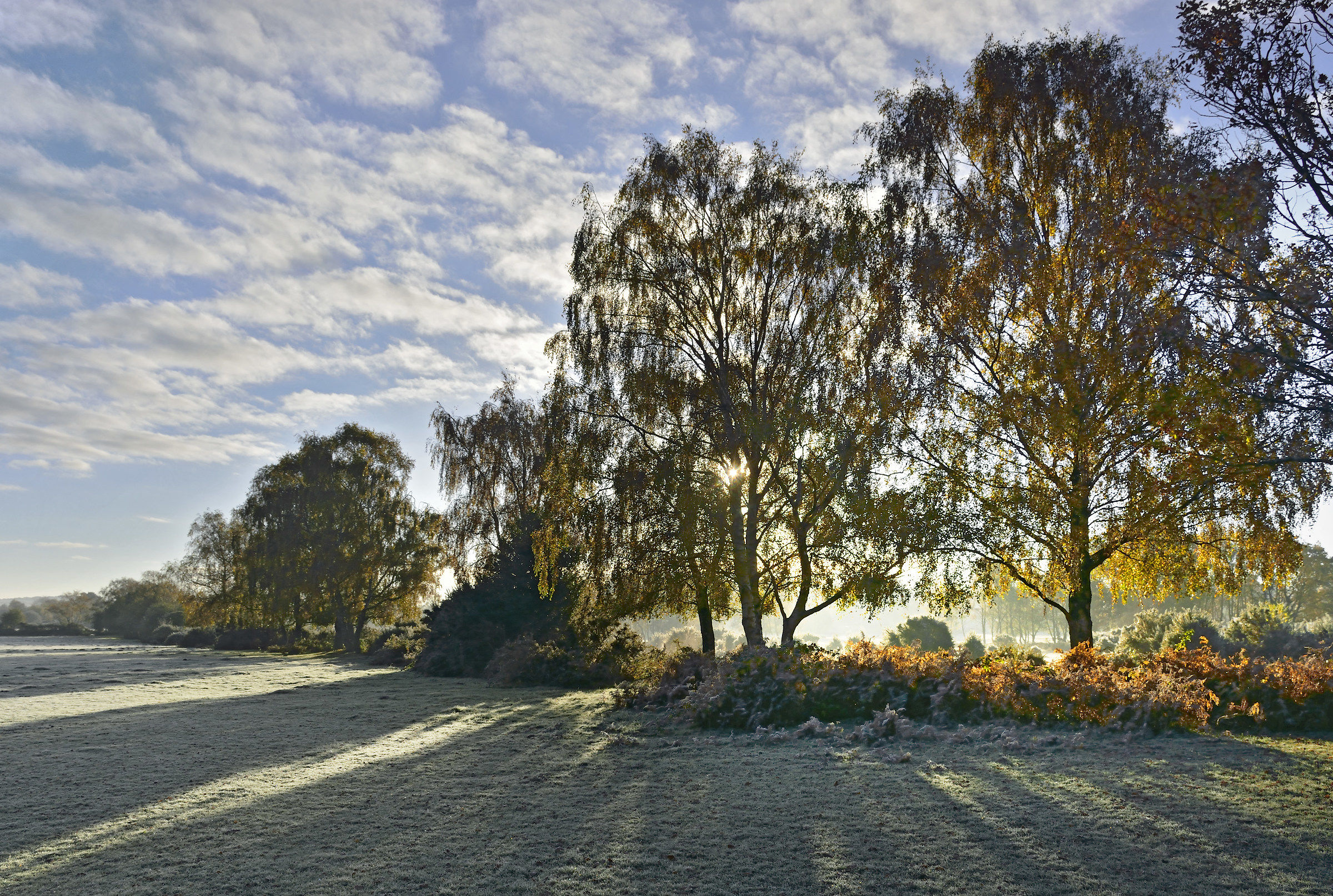 Winter Comes to Autumn