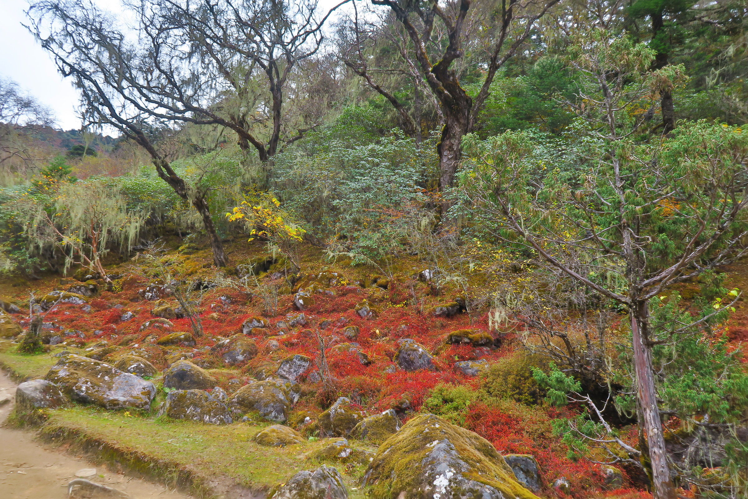 nepal by tengboche towards Periche