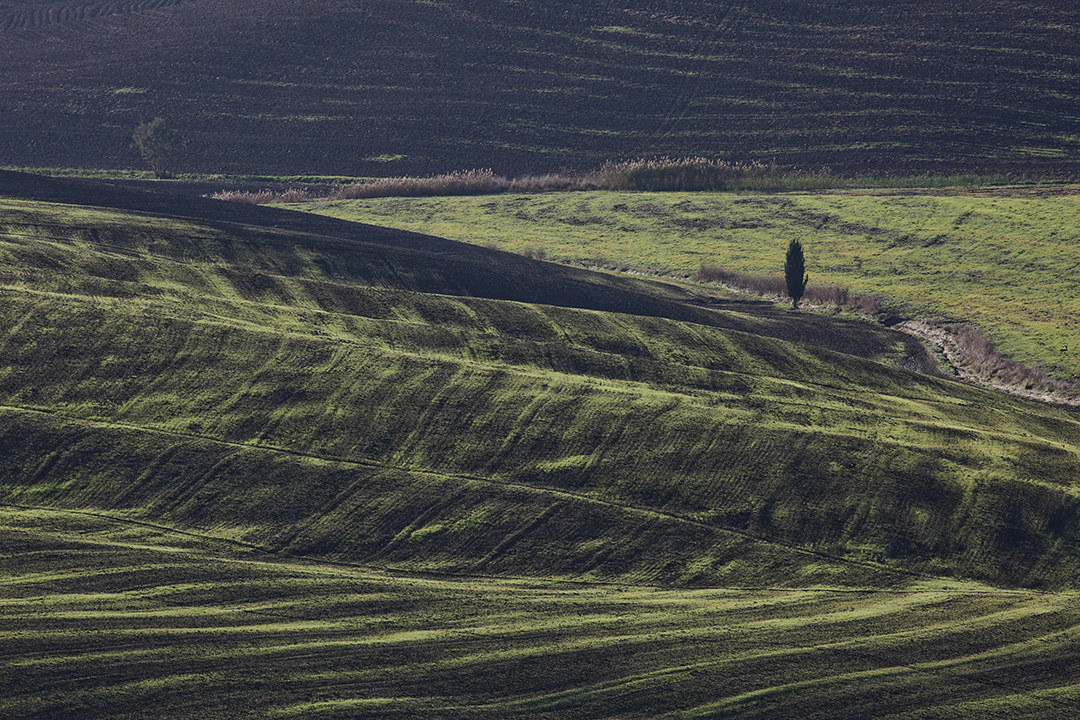 Val d'Orcia Terra pille