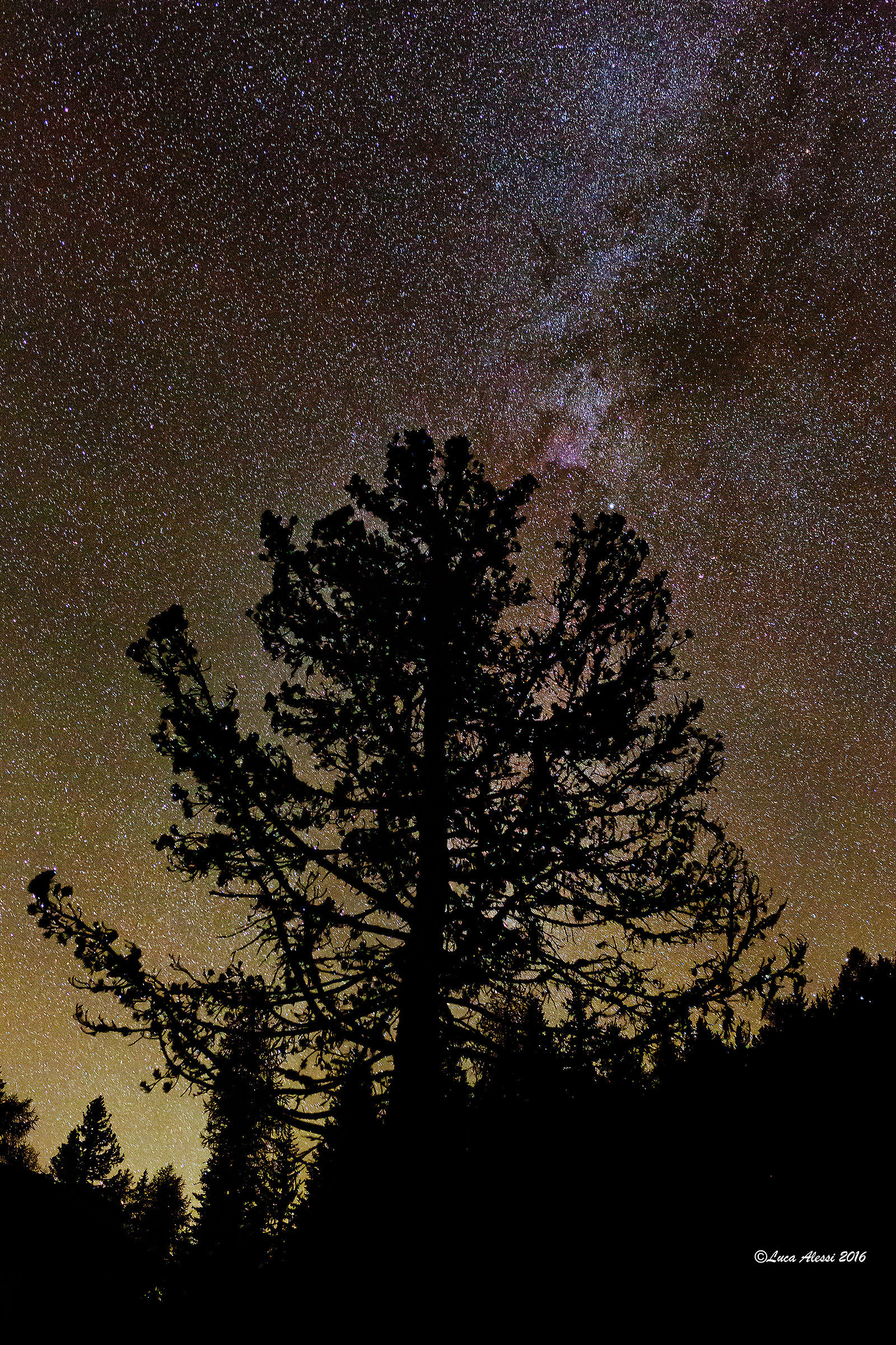 Tra miliardi di stelle