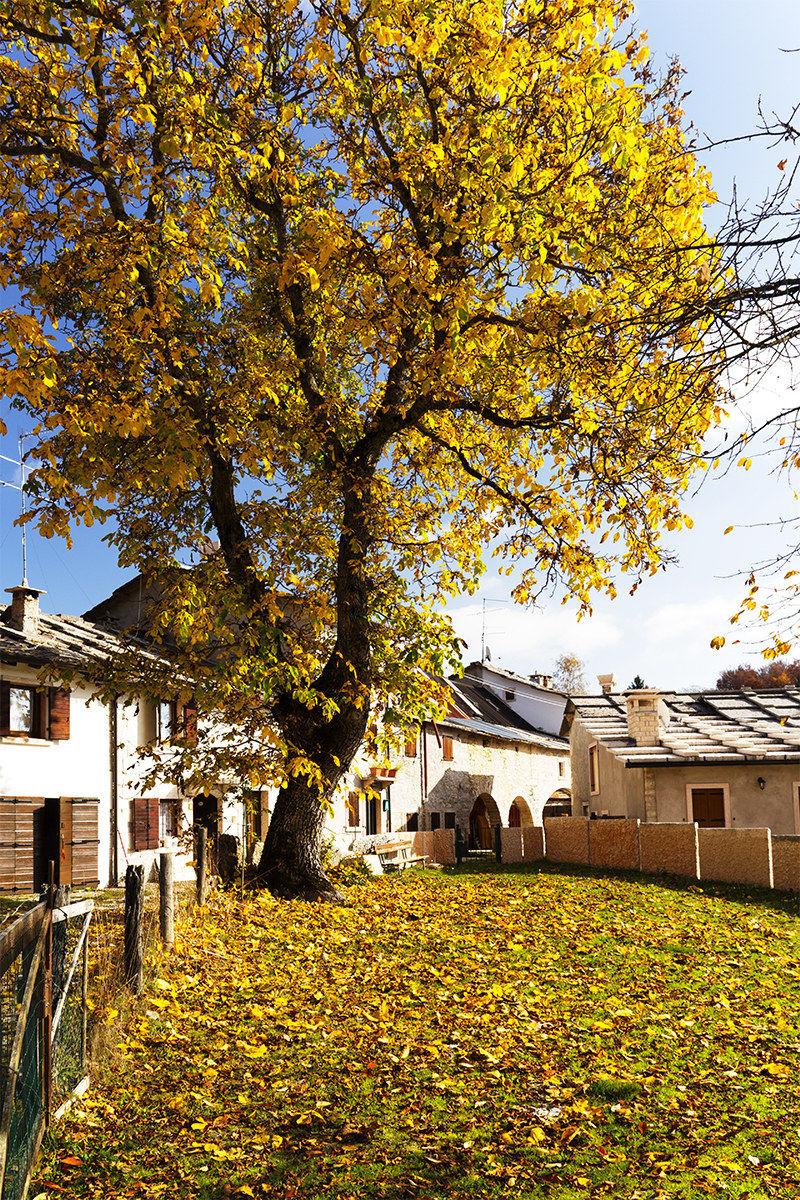 Autunno in Loc. Gaspari