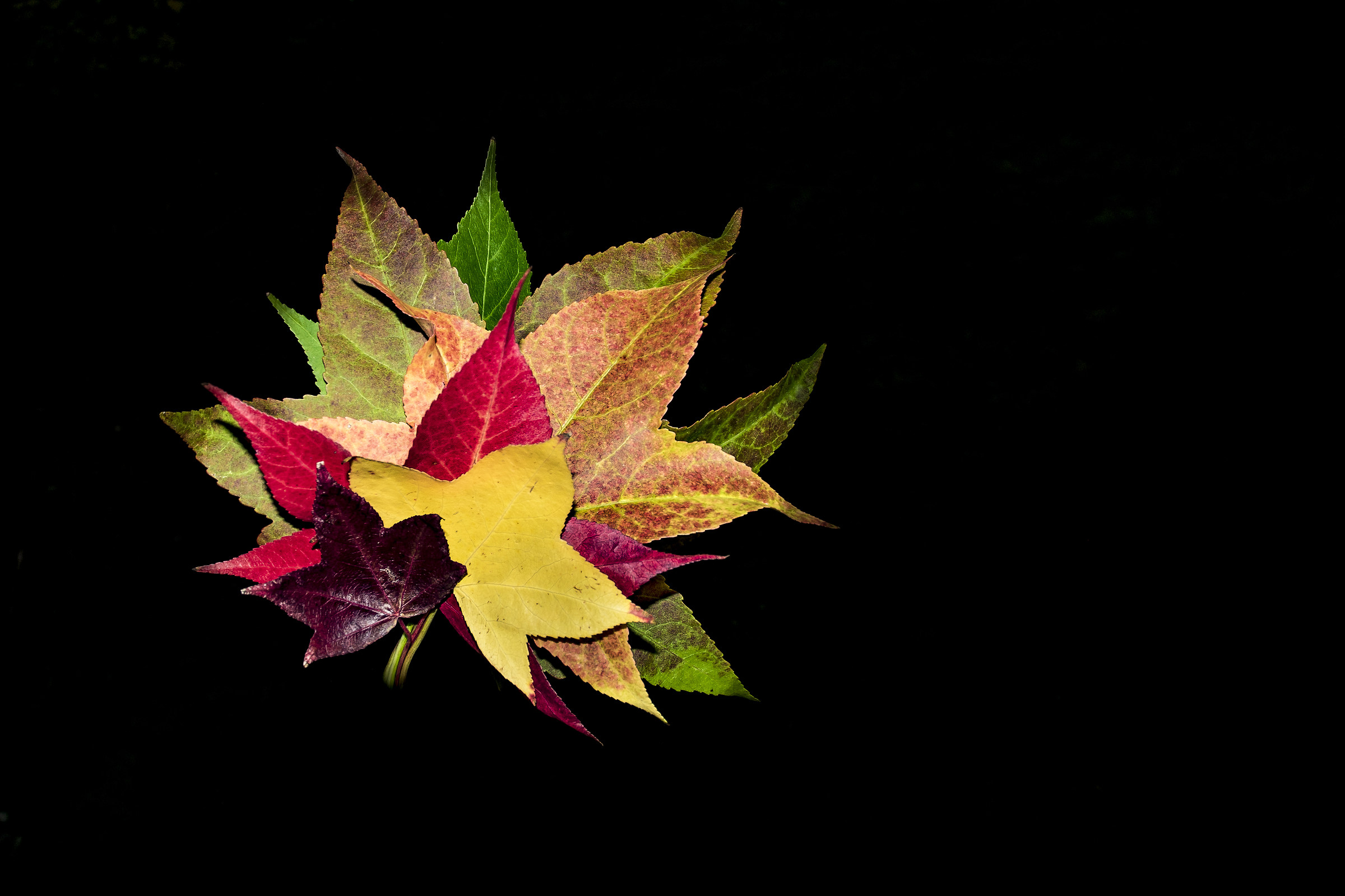 sovrapposizioni autunnali