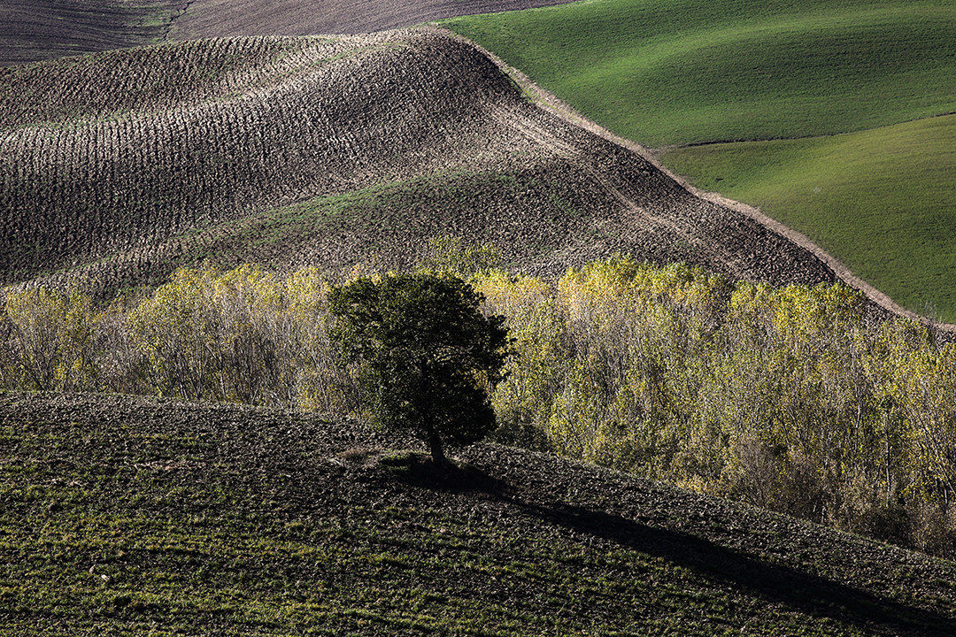 Val D'Orcia