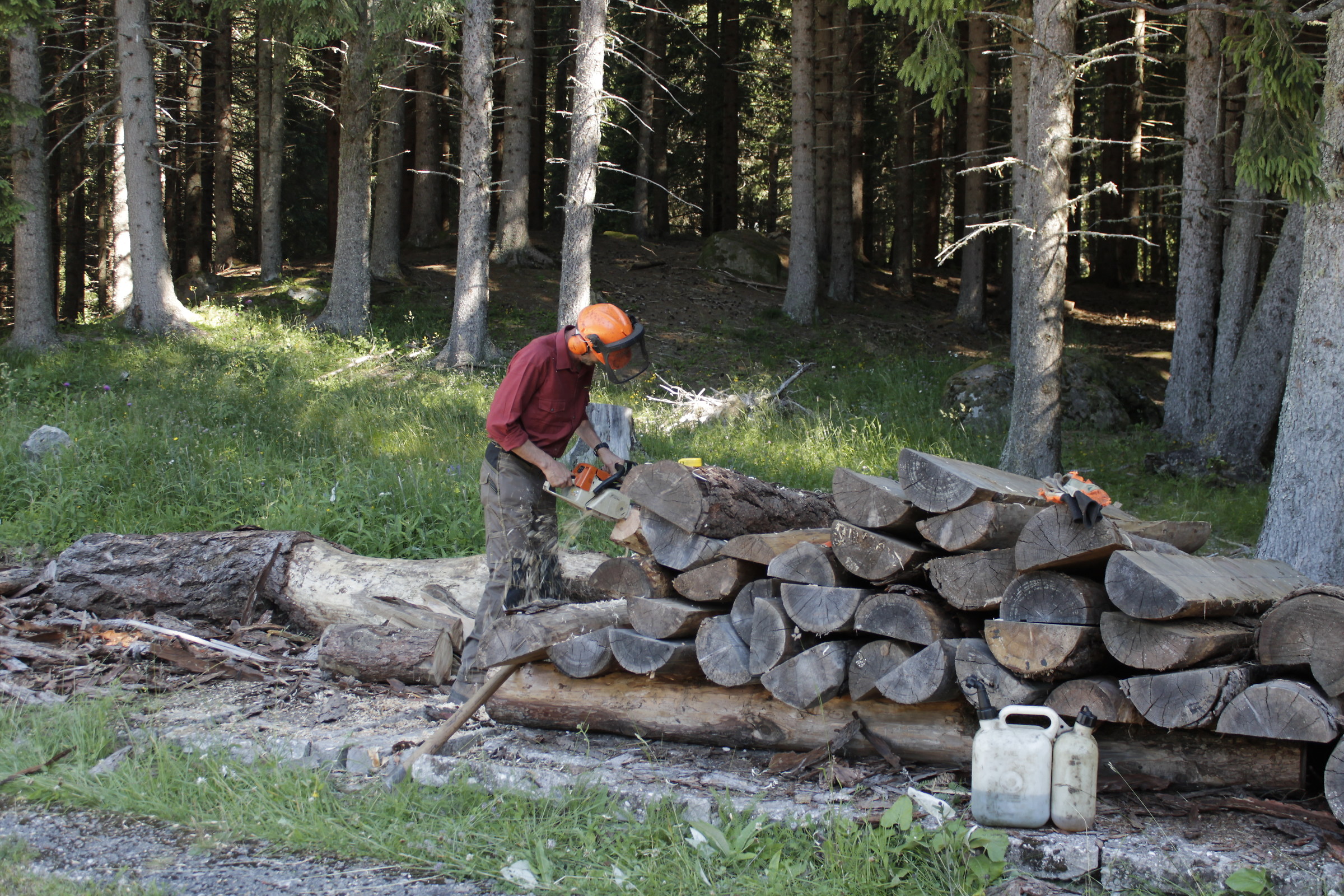 cutting wood for the winter