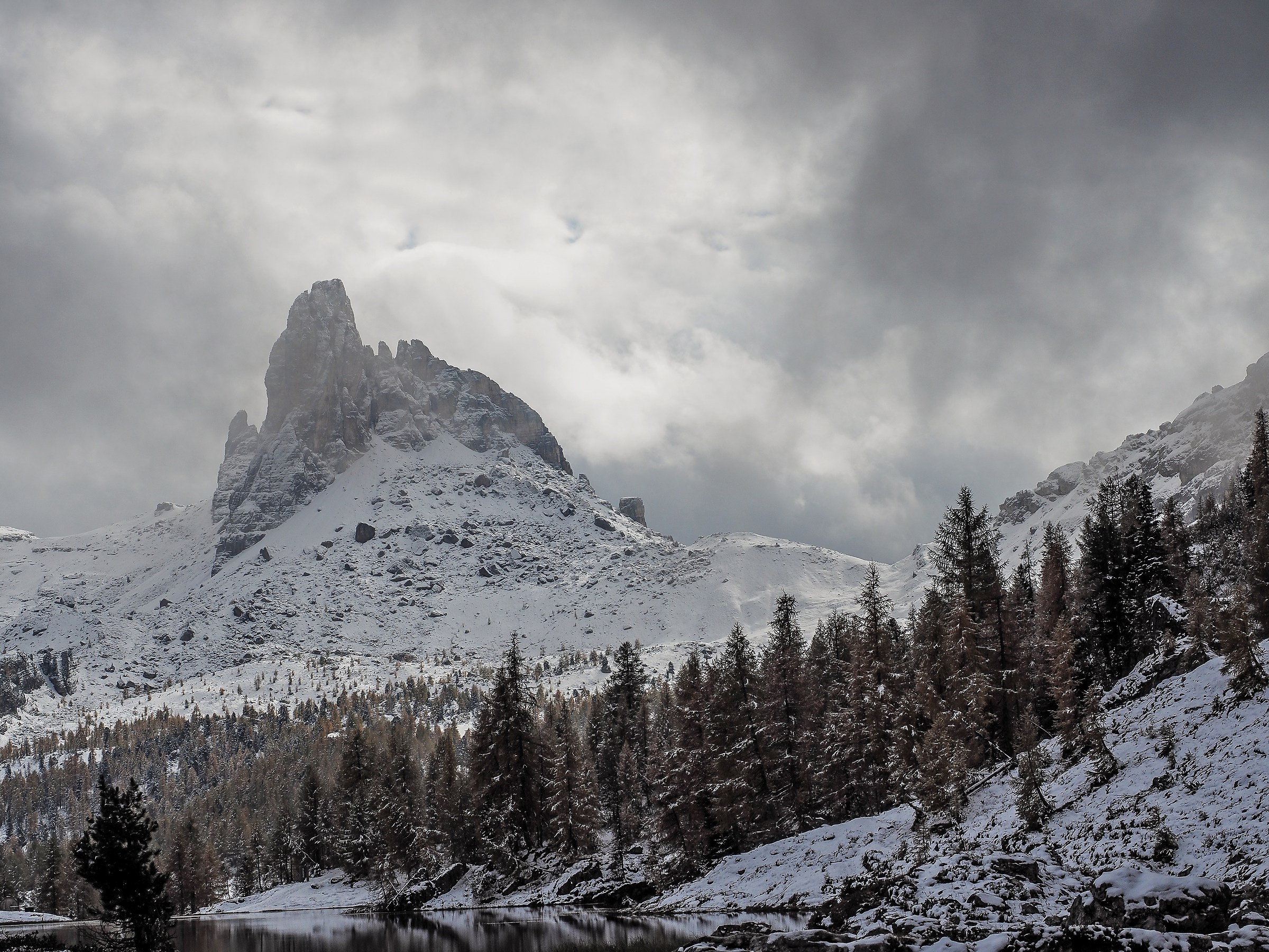 The Beak of the South will autumn