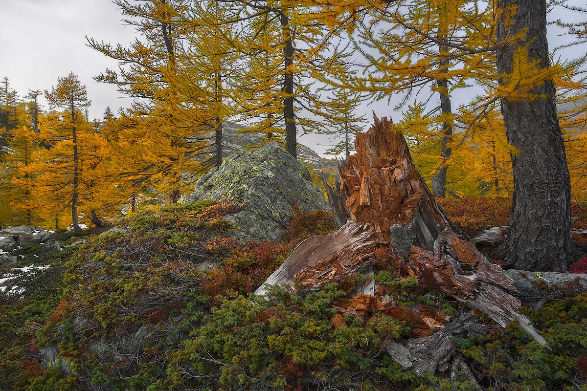 till death do Us part