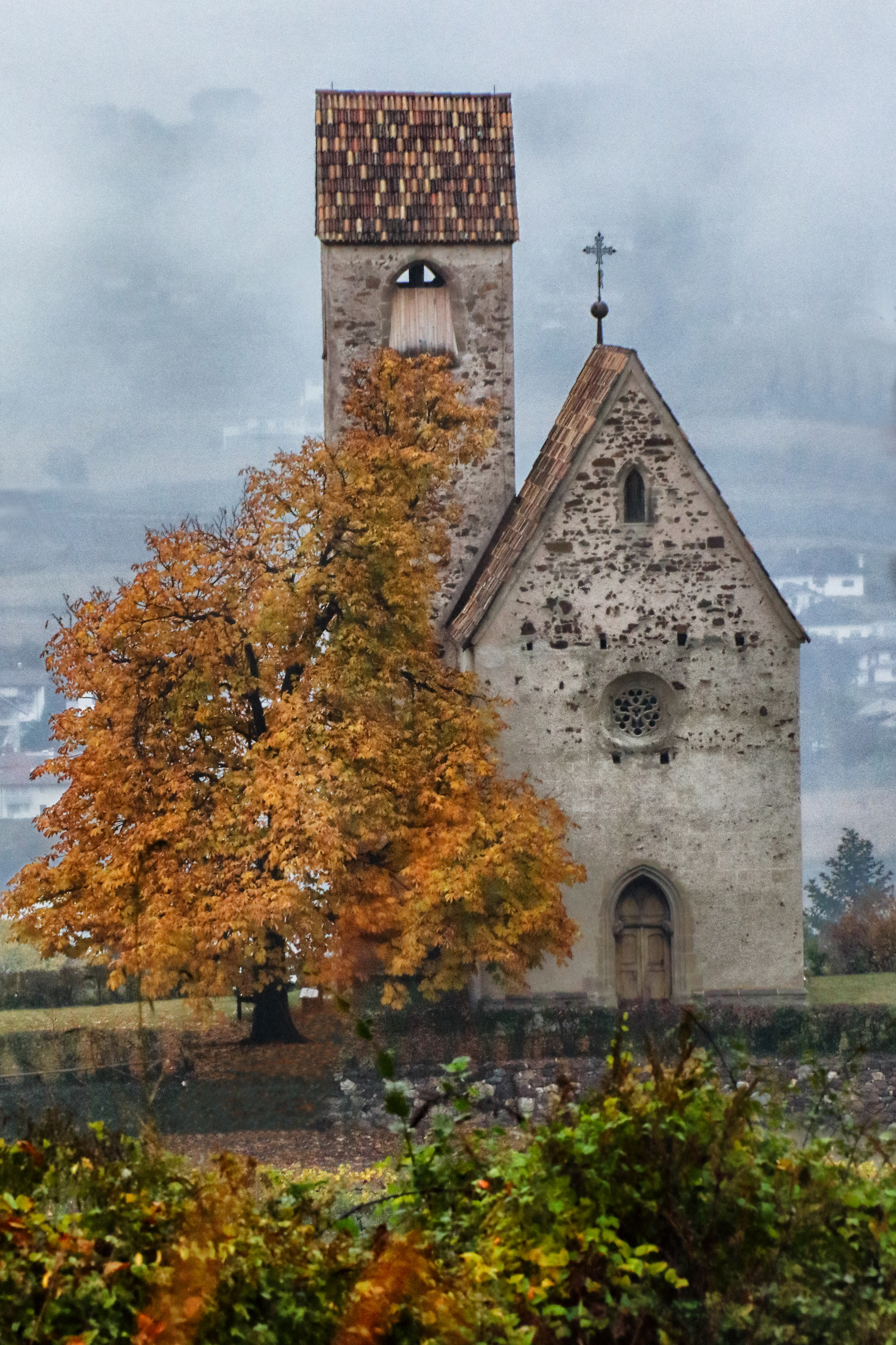 Sulla strada del vino