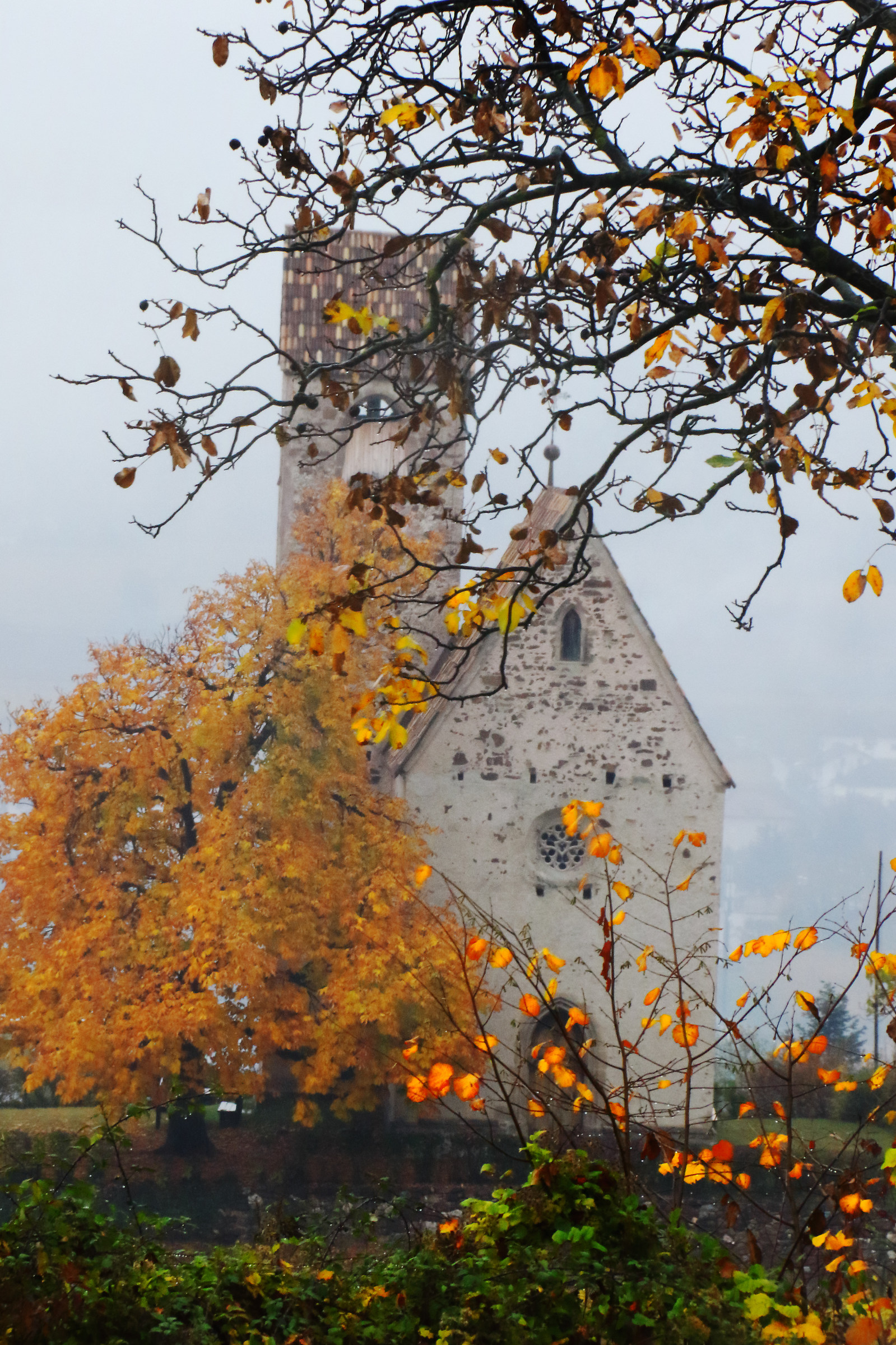 Sulla strada del vino