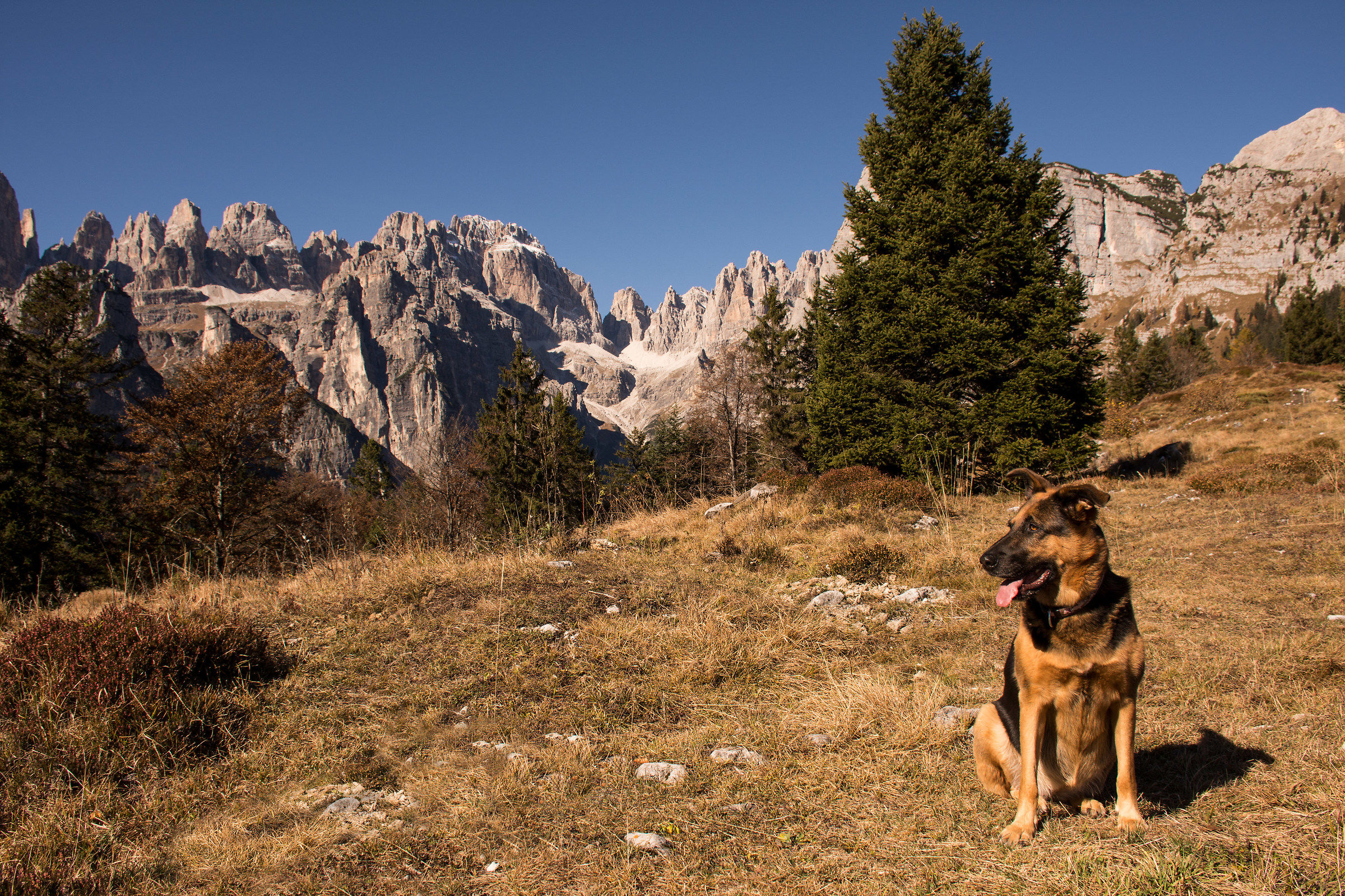 In montagna con Elly