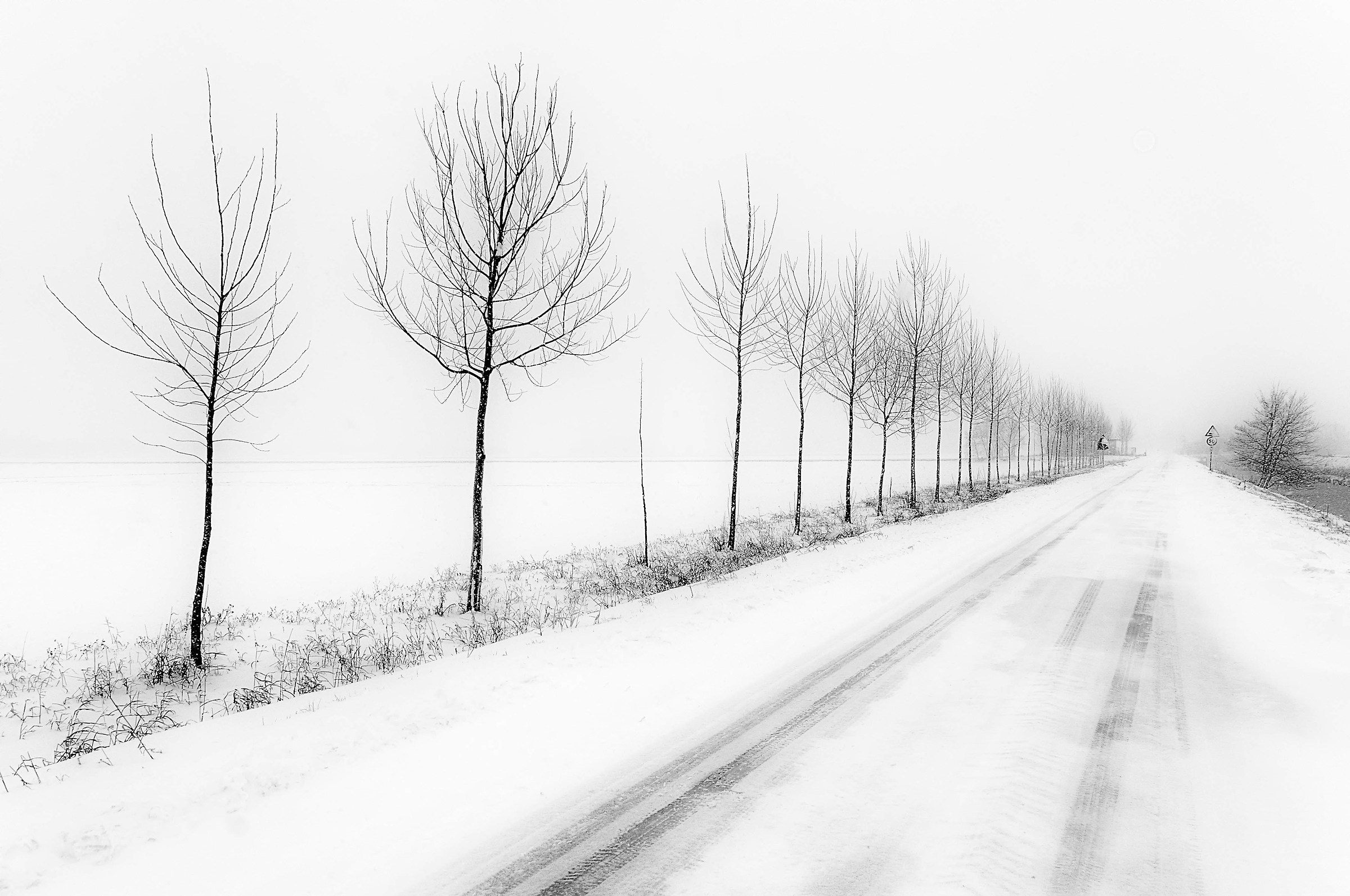 The quiet road of snow