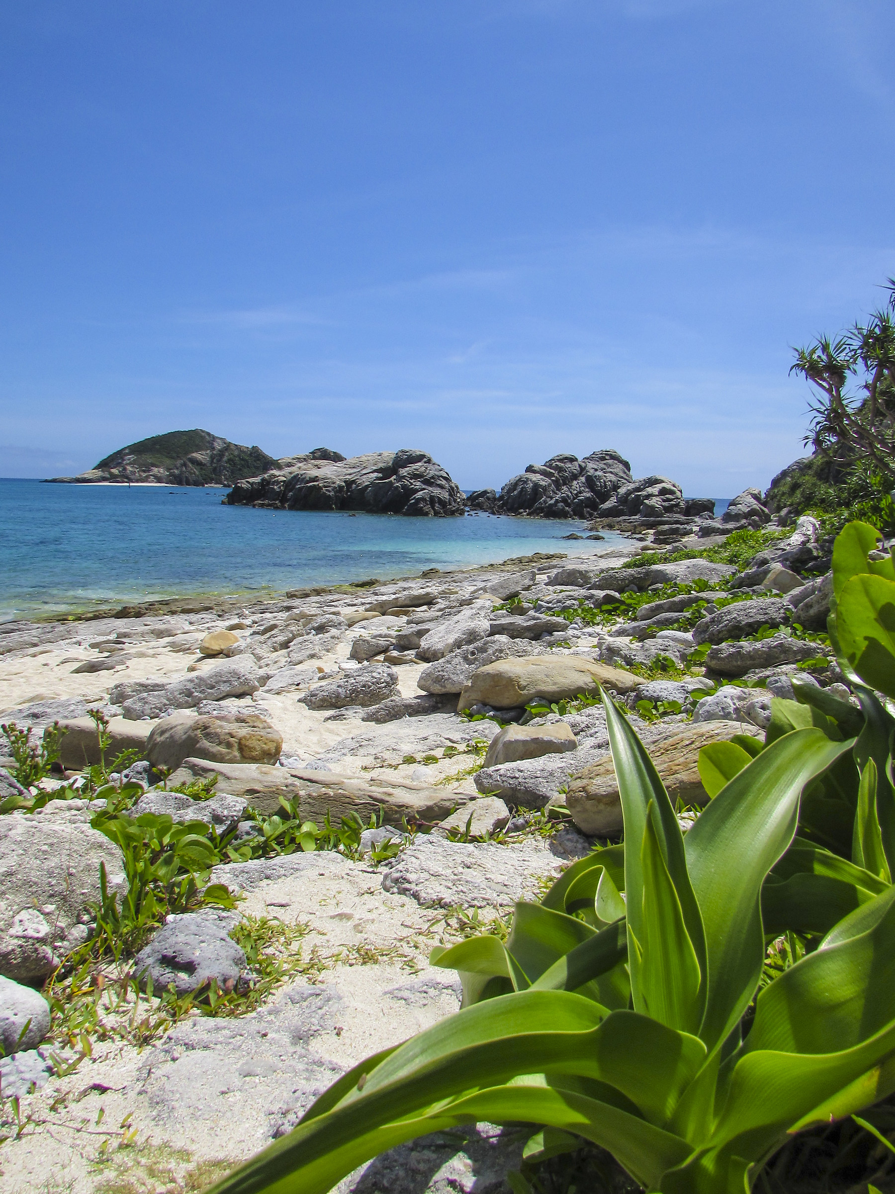 Nature on the island of Tokashiki