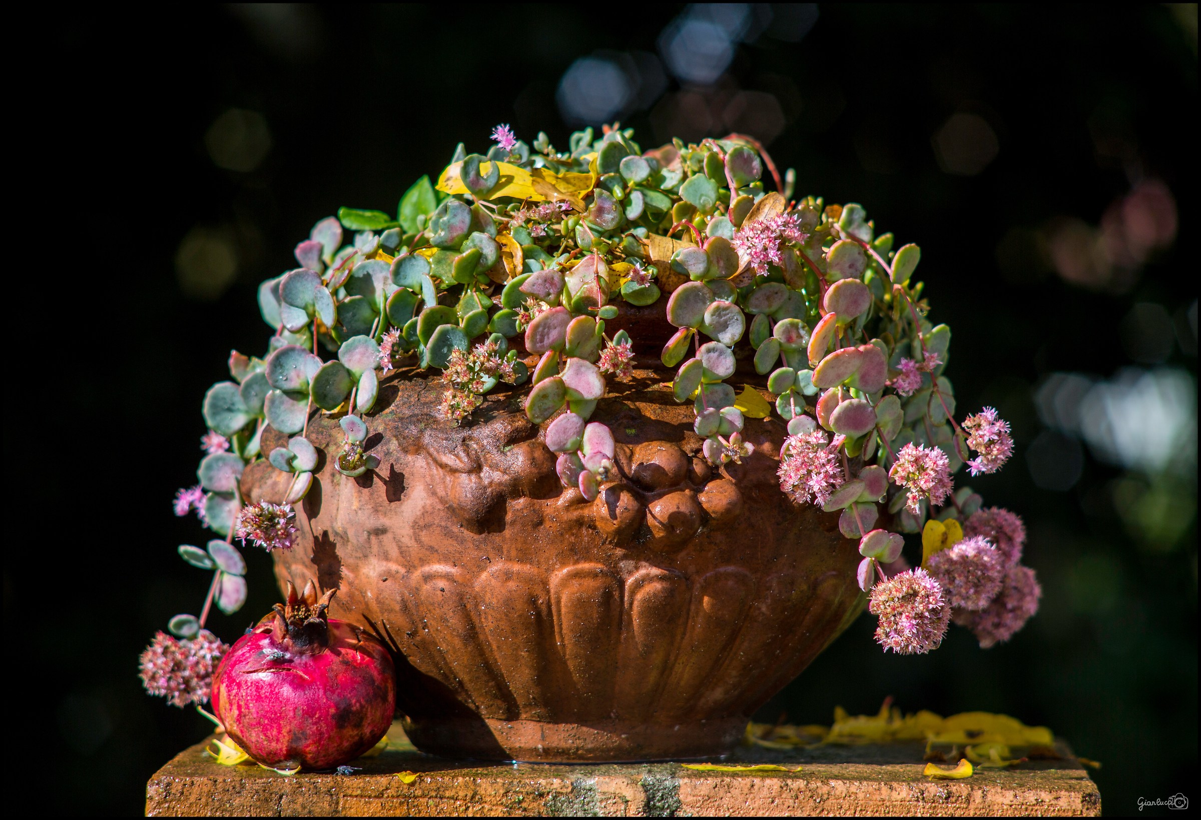 Composizione d'autunno