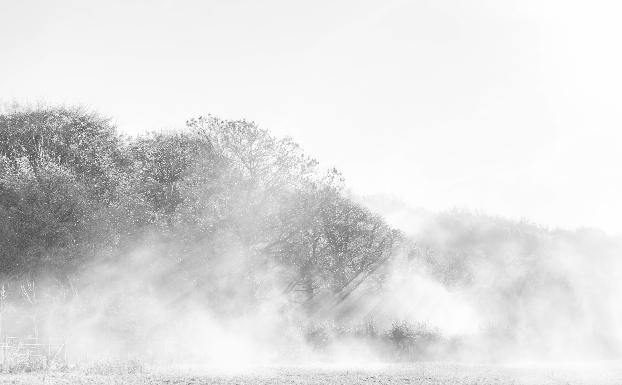 Il Sole Versus The Fog