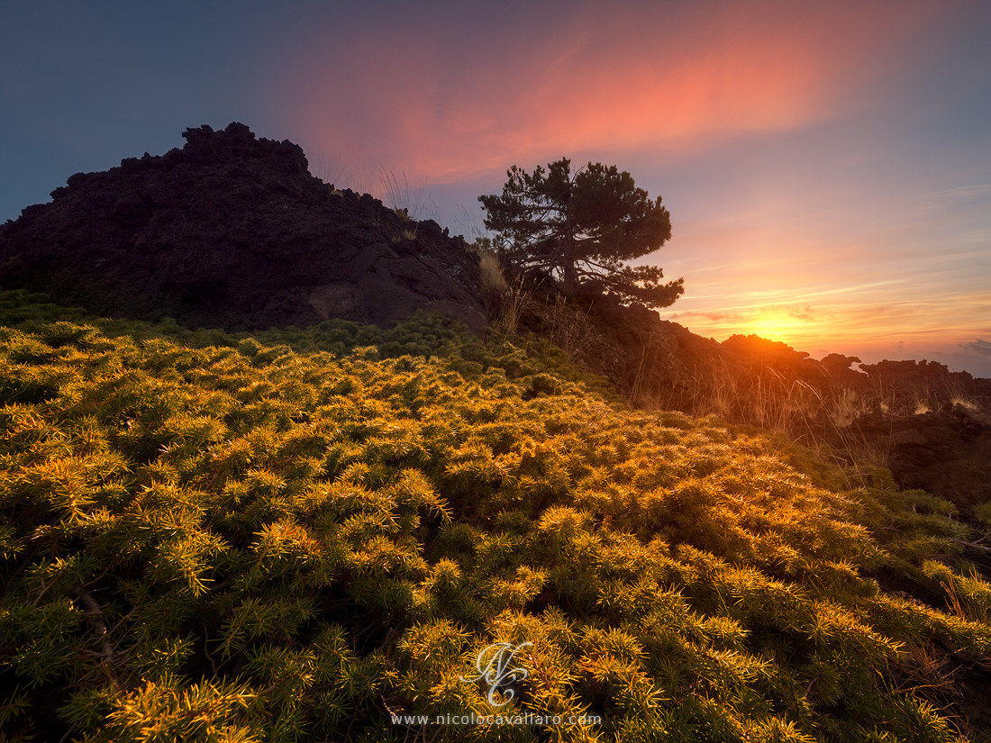Etna landscapes