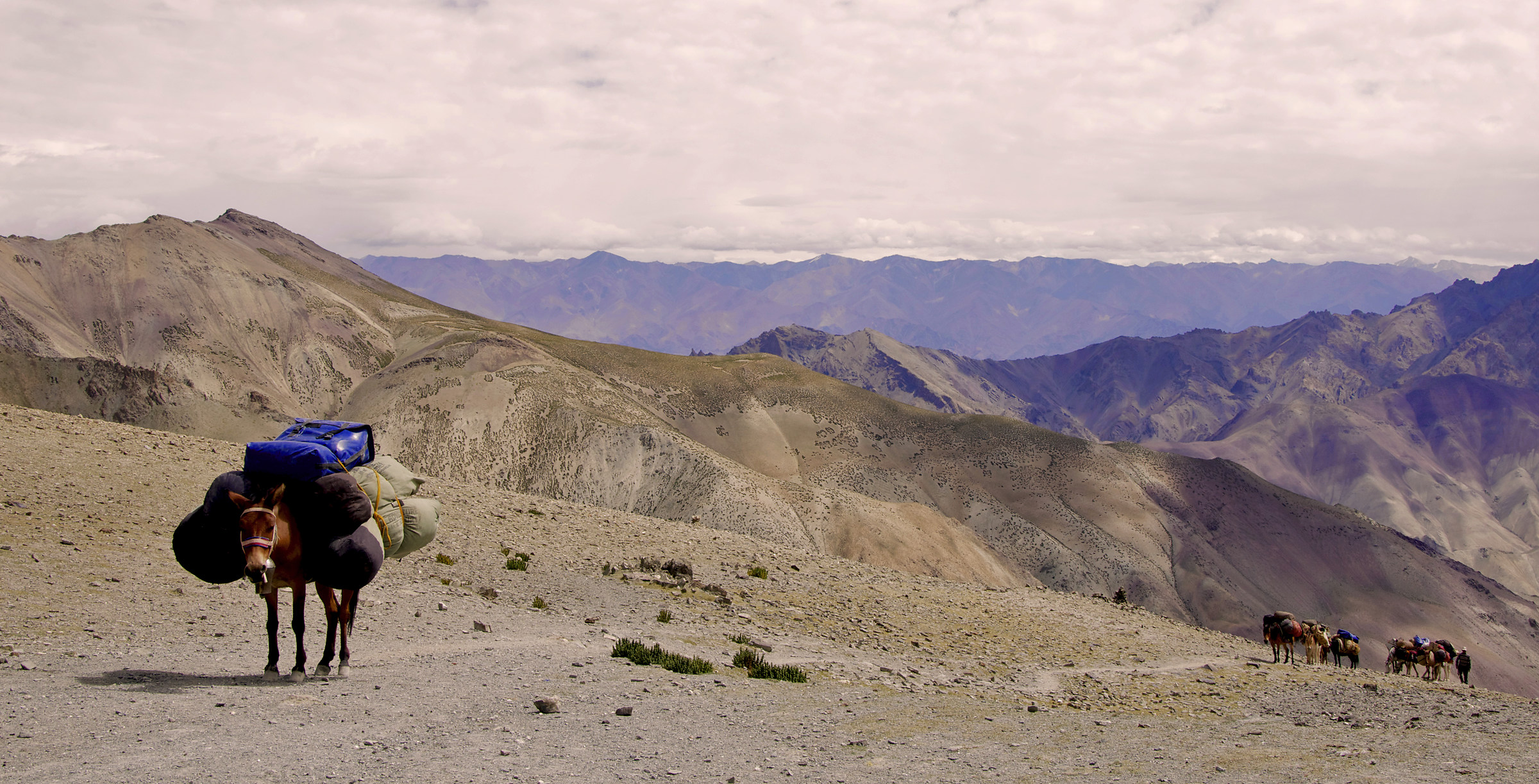 Regione del Ladakh - trekking - India -