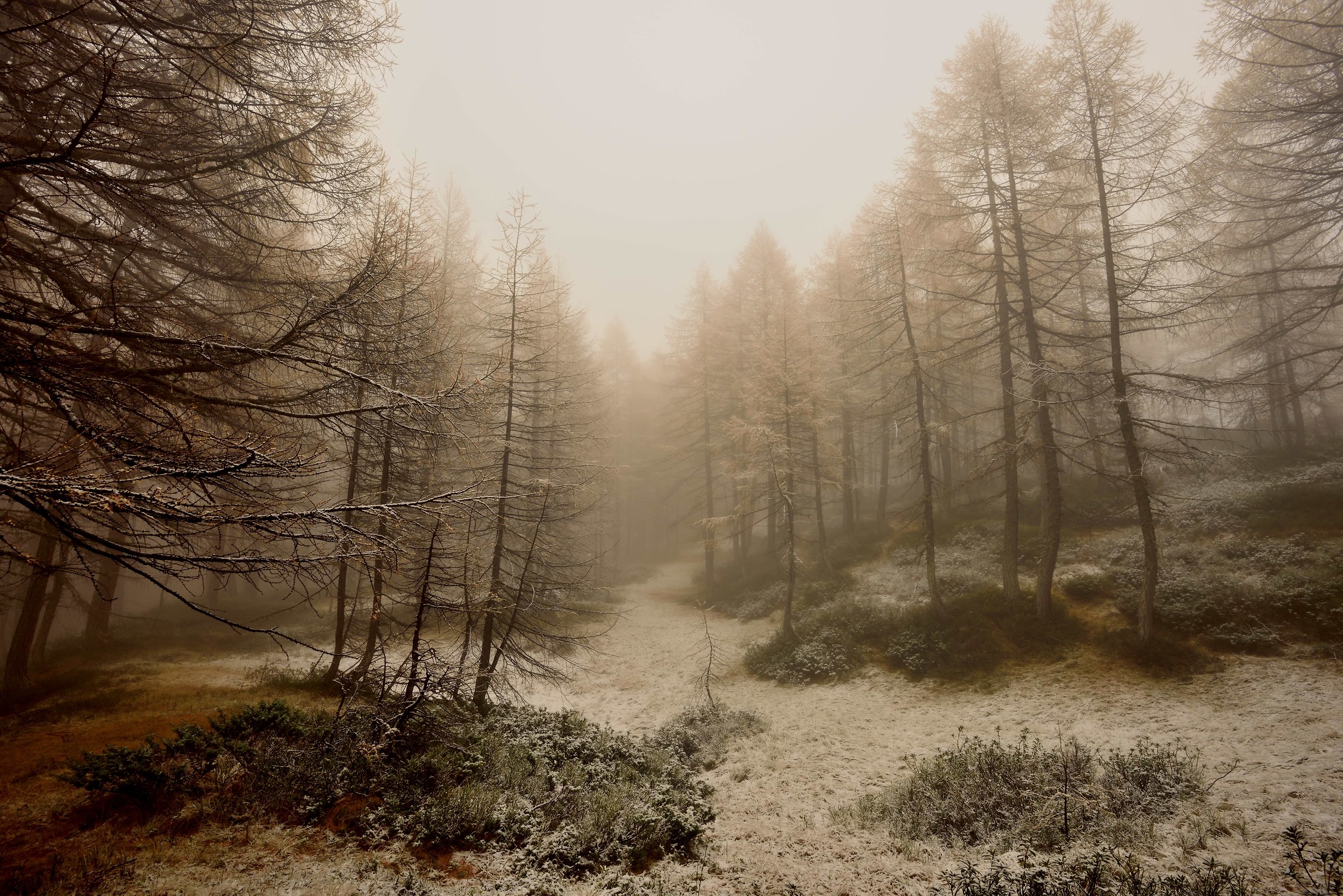 from the trail to Crampiolo