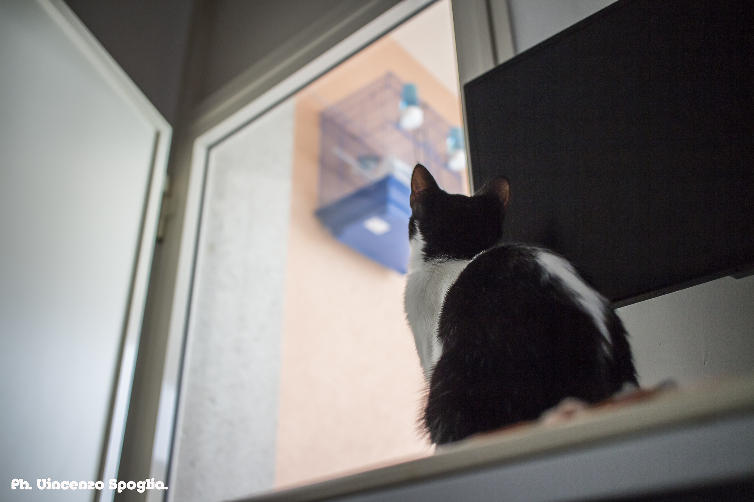 ahhh if you take it !!